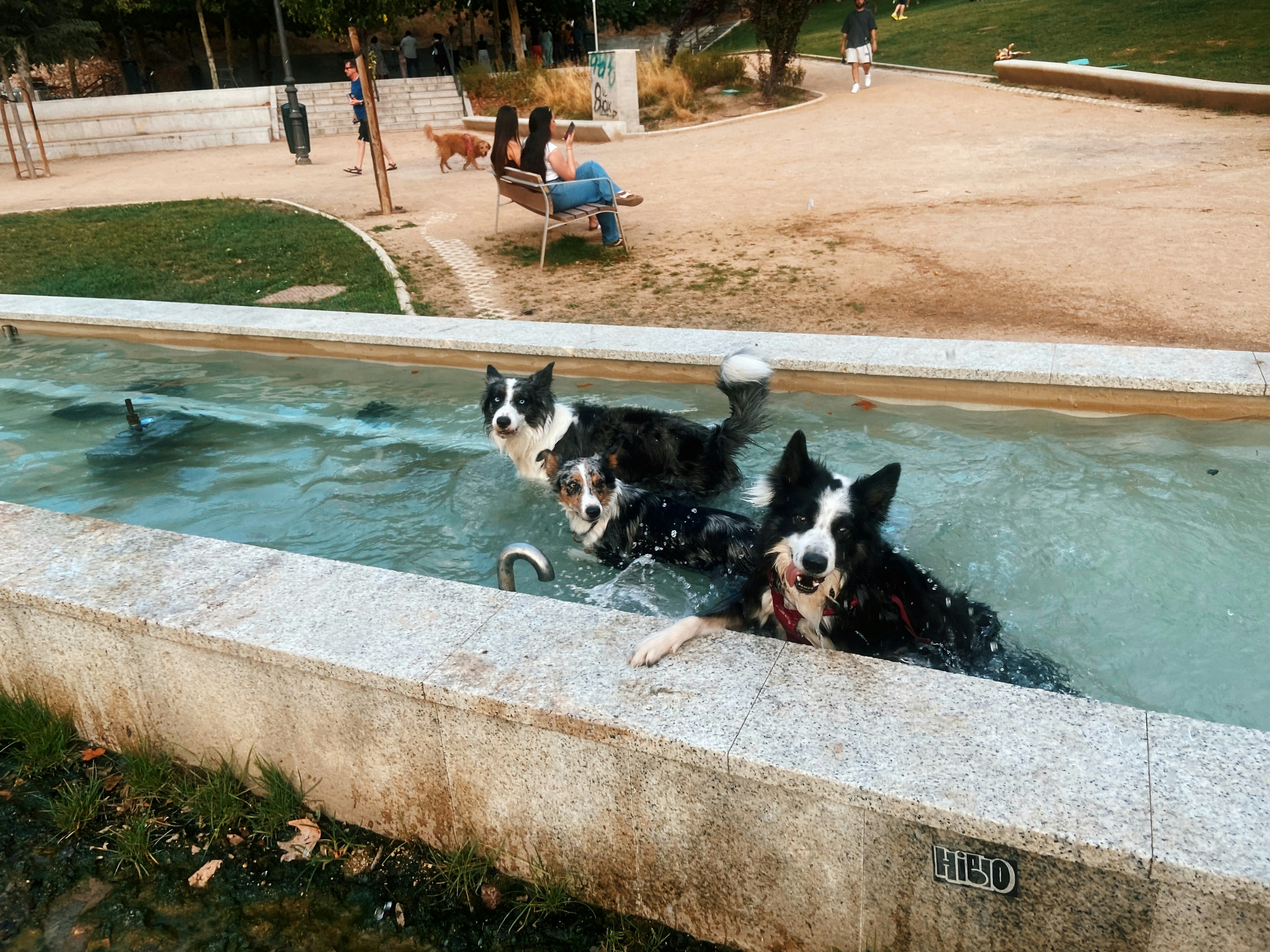 Dogwash Truffaut Servon — Servon