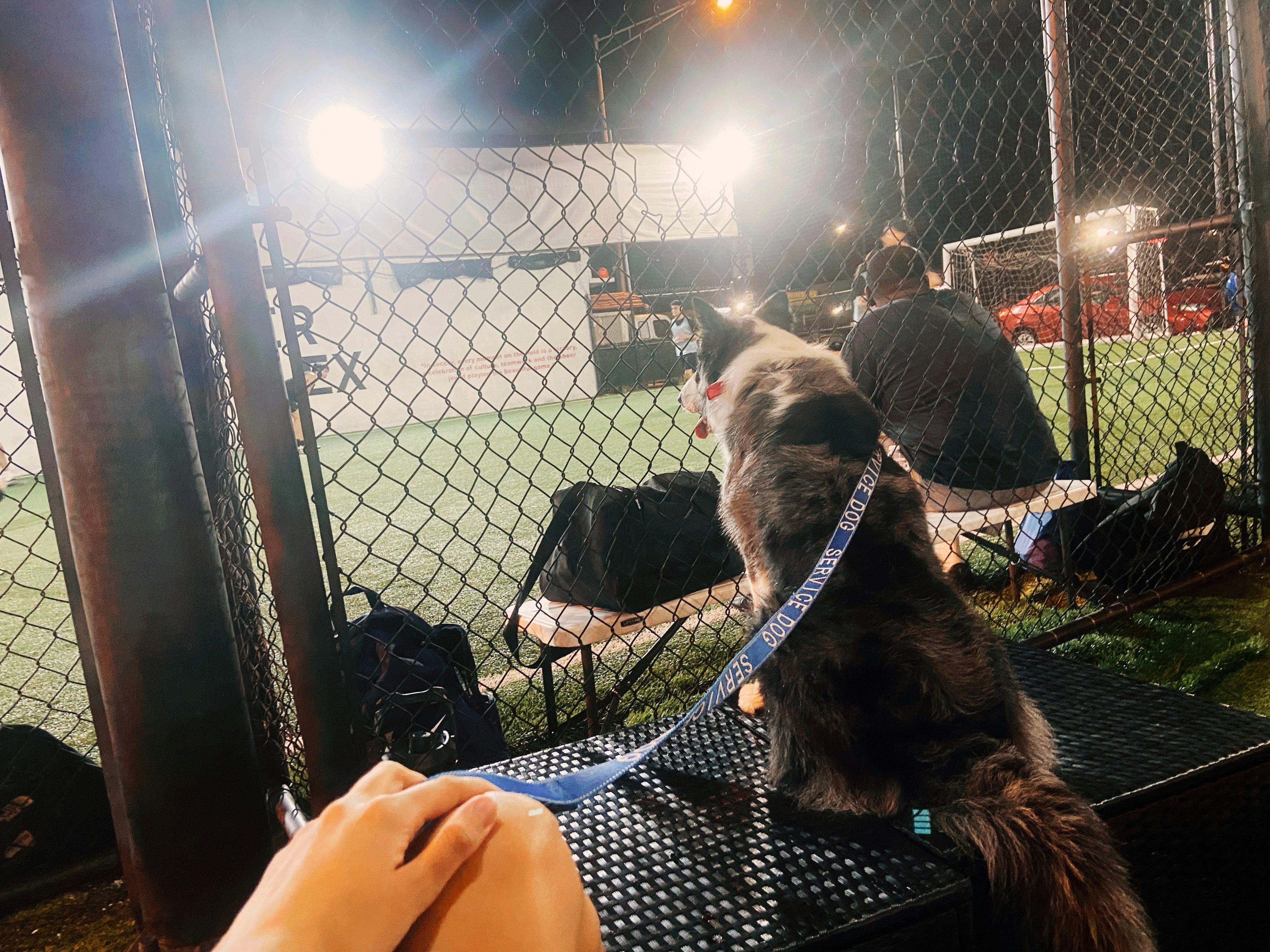 Club Canin Foix — Saint-Paul-de-Jarrat