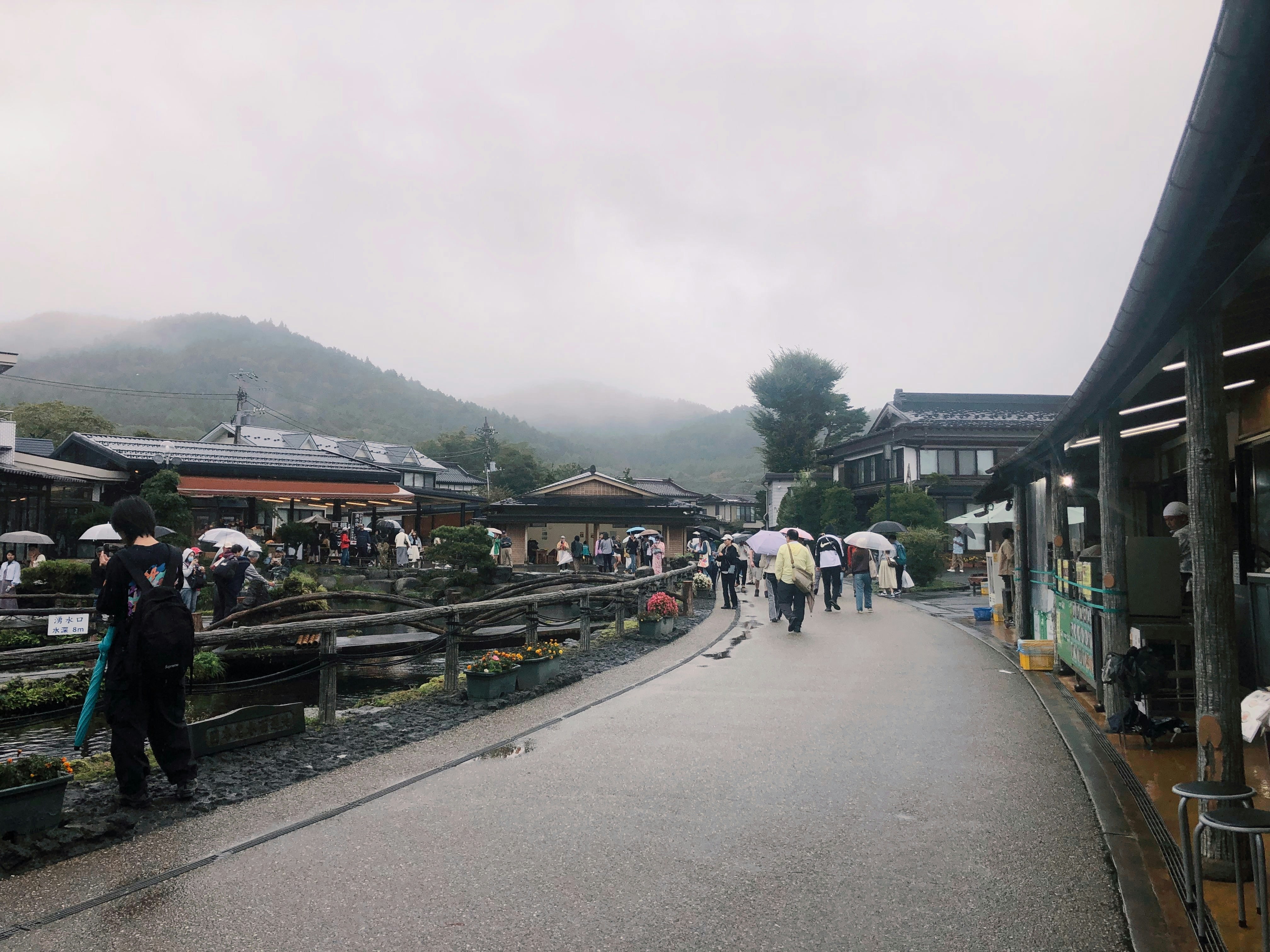 People with umbrellas walking along a wet path in a misty Japanese village