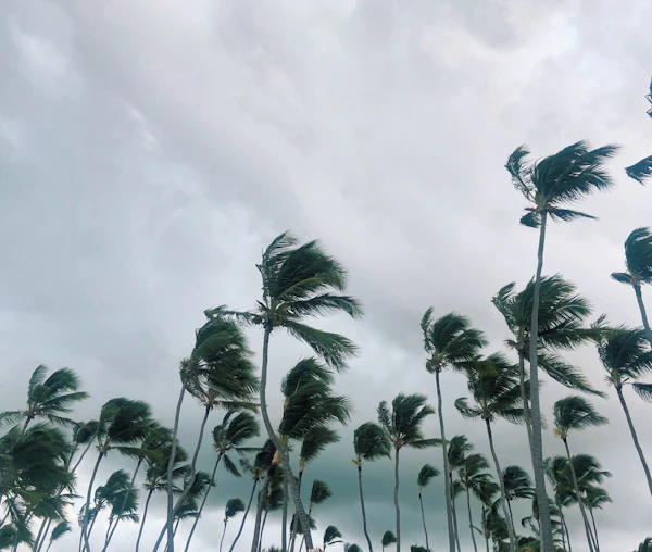 Hurricane