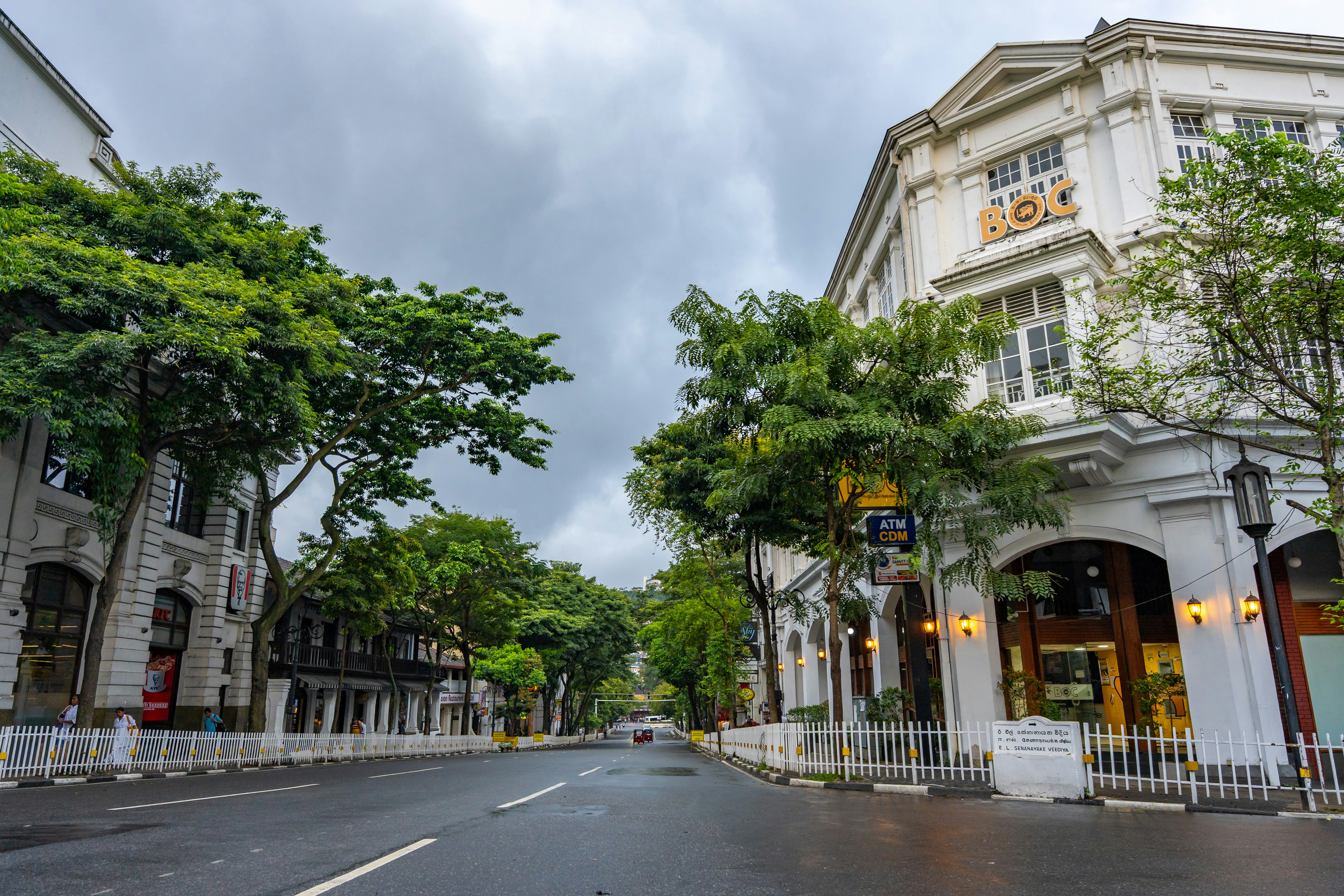 A quiet street lined with trees and colonial buildings under a cloudy sky