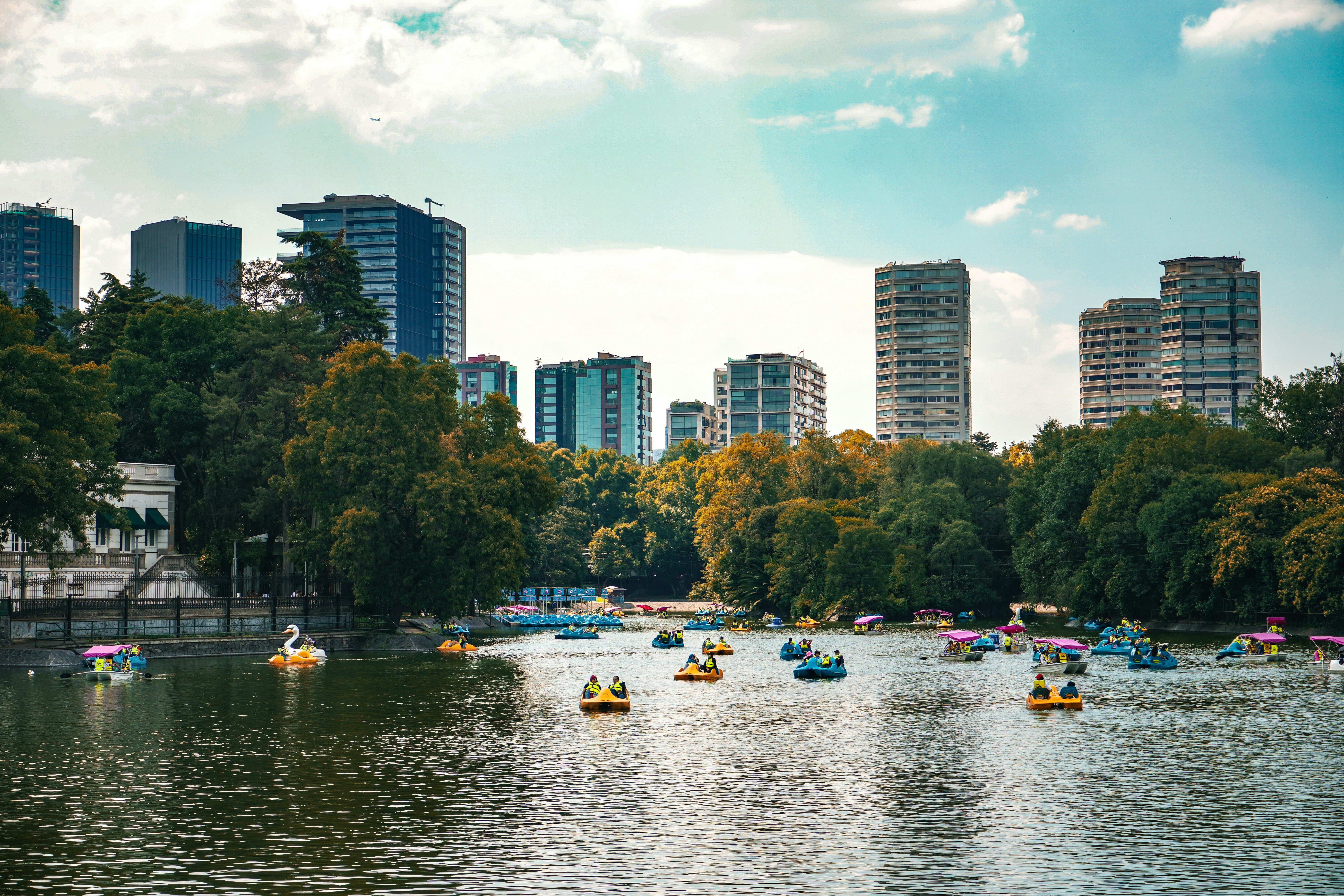 Pedal boats on lake in city - Free Photo on Unsplash