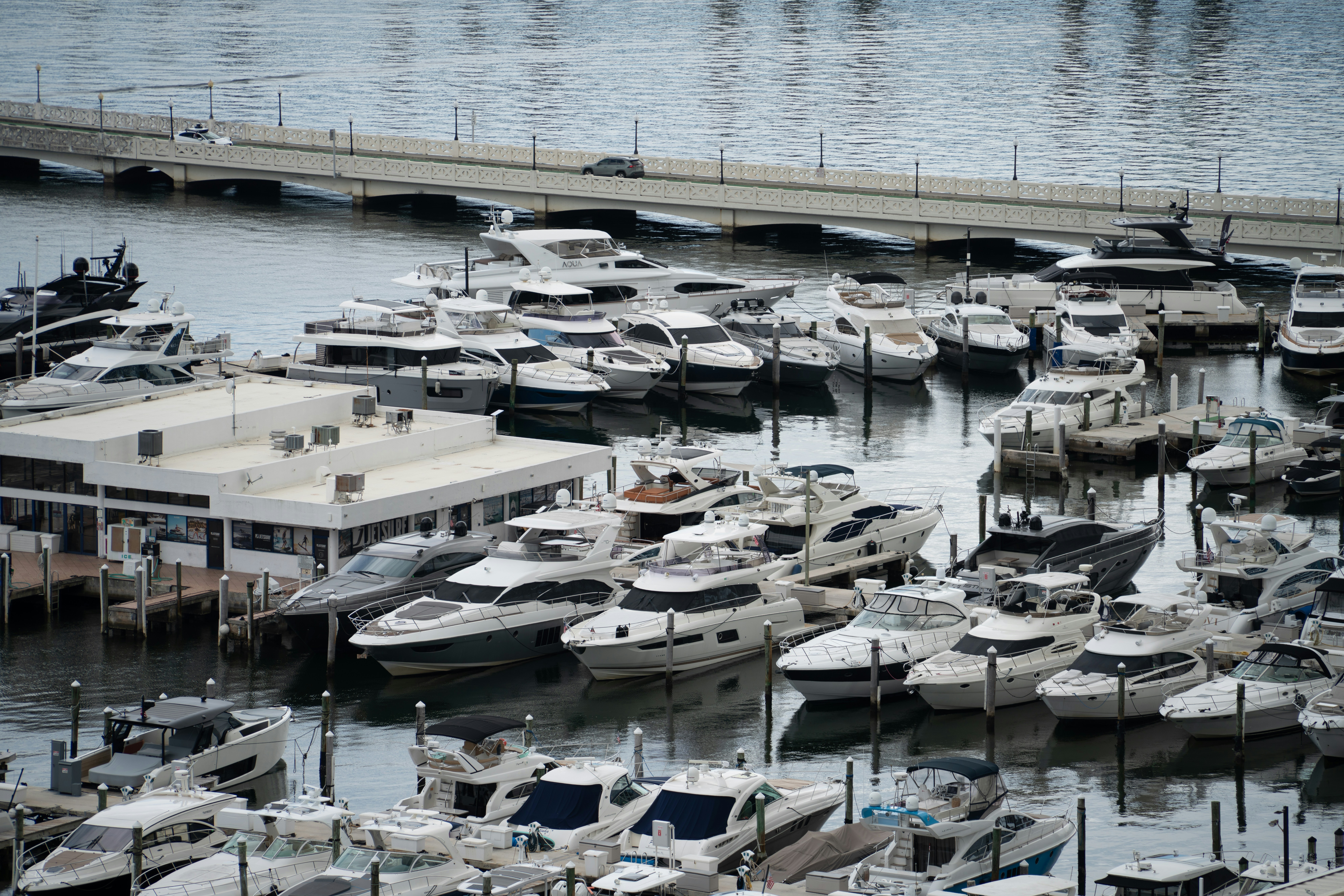 Muchos yates blancos atracados en una marina con un puente de fondo