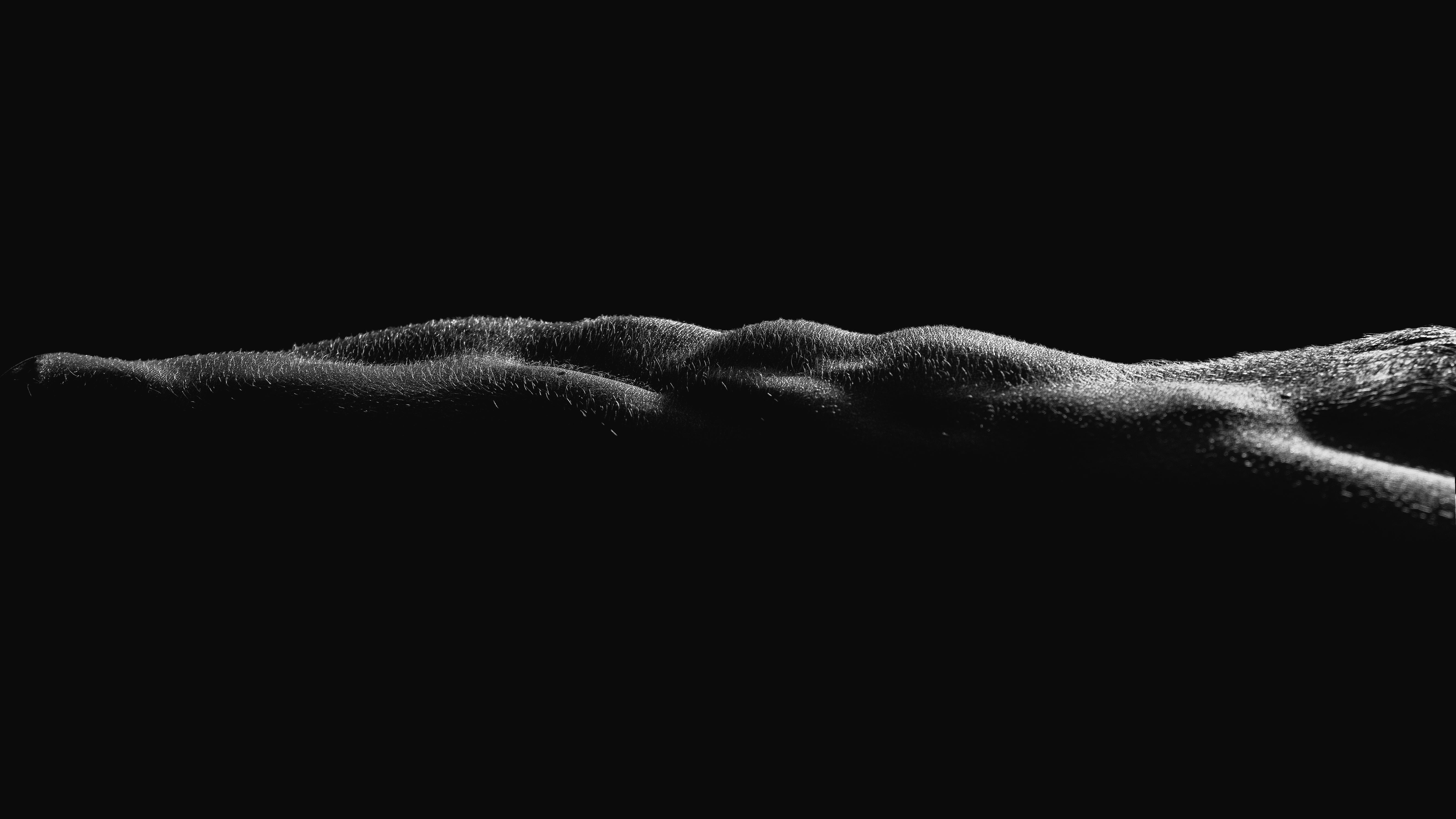 A close-up of human skin texture with fine hairs in high contrast lighting