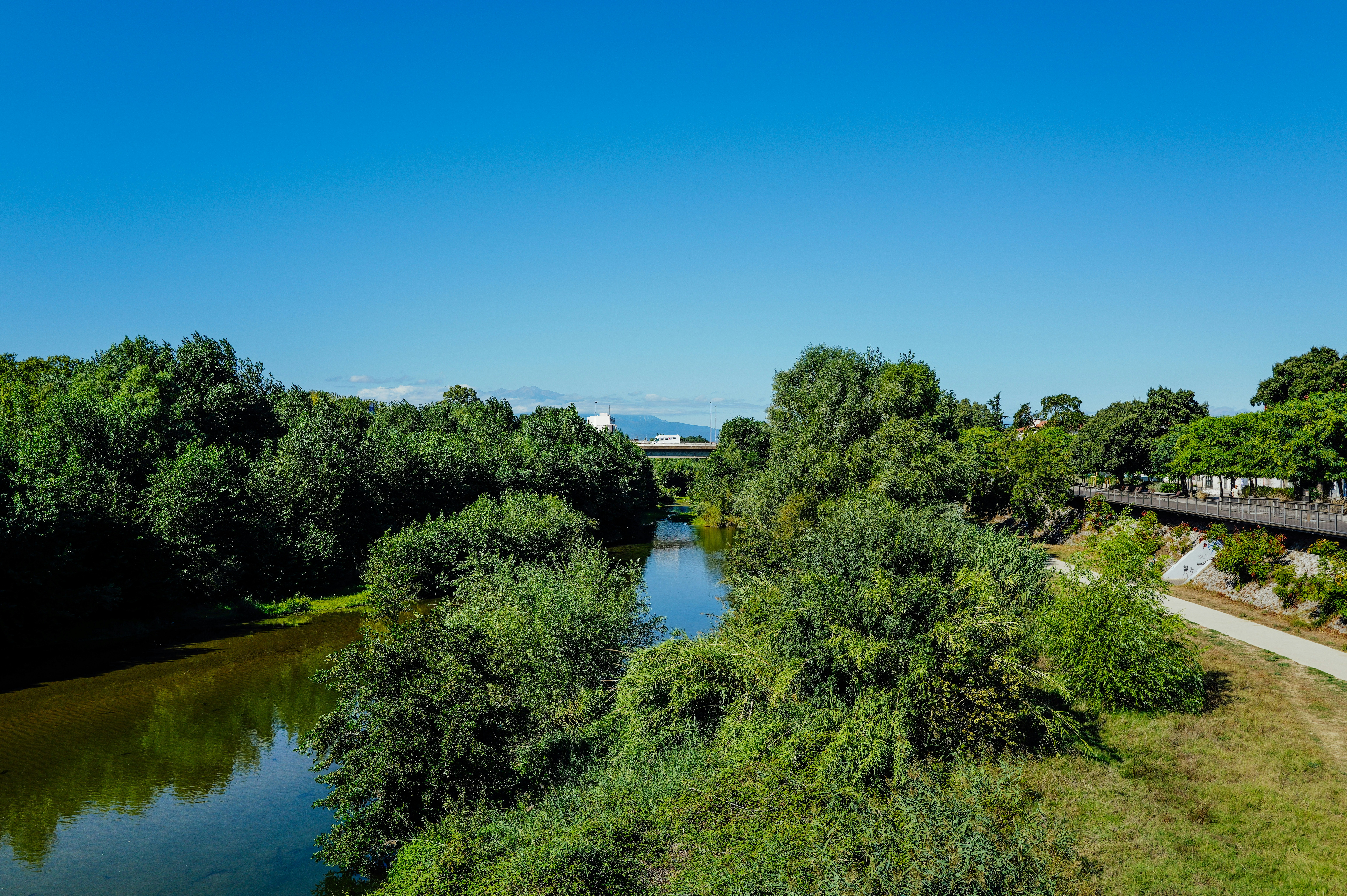 Um rio calmo fluindo entre árvores verdes e exuberantes sob um céu azul claro