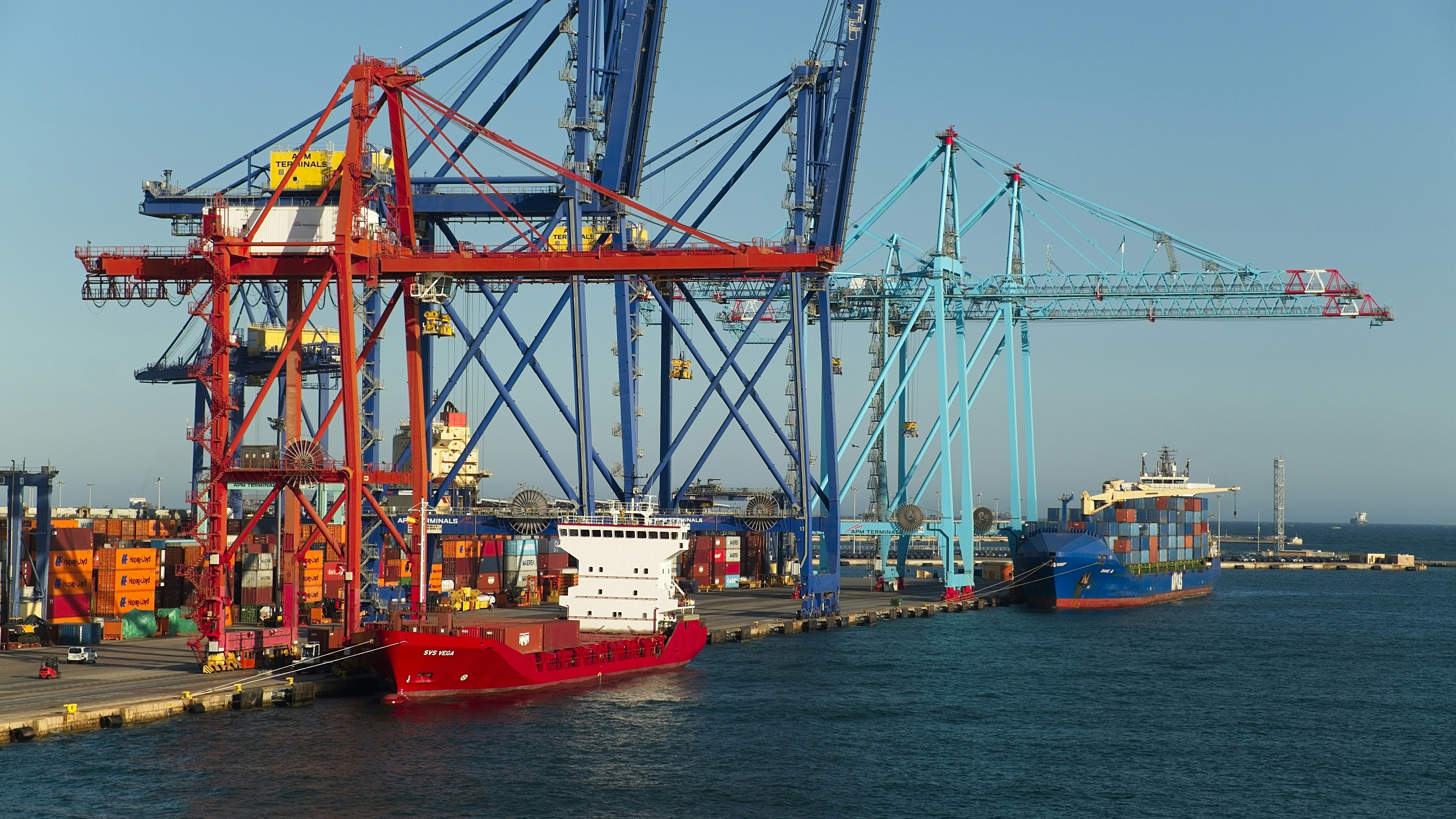 Gru per container rosse e blu che caricano navi cargo in un porto industriale trafficato