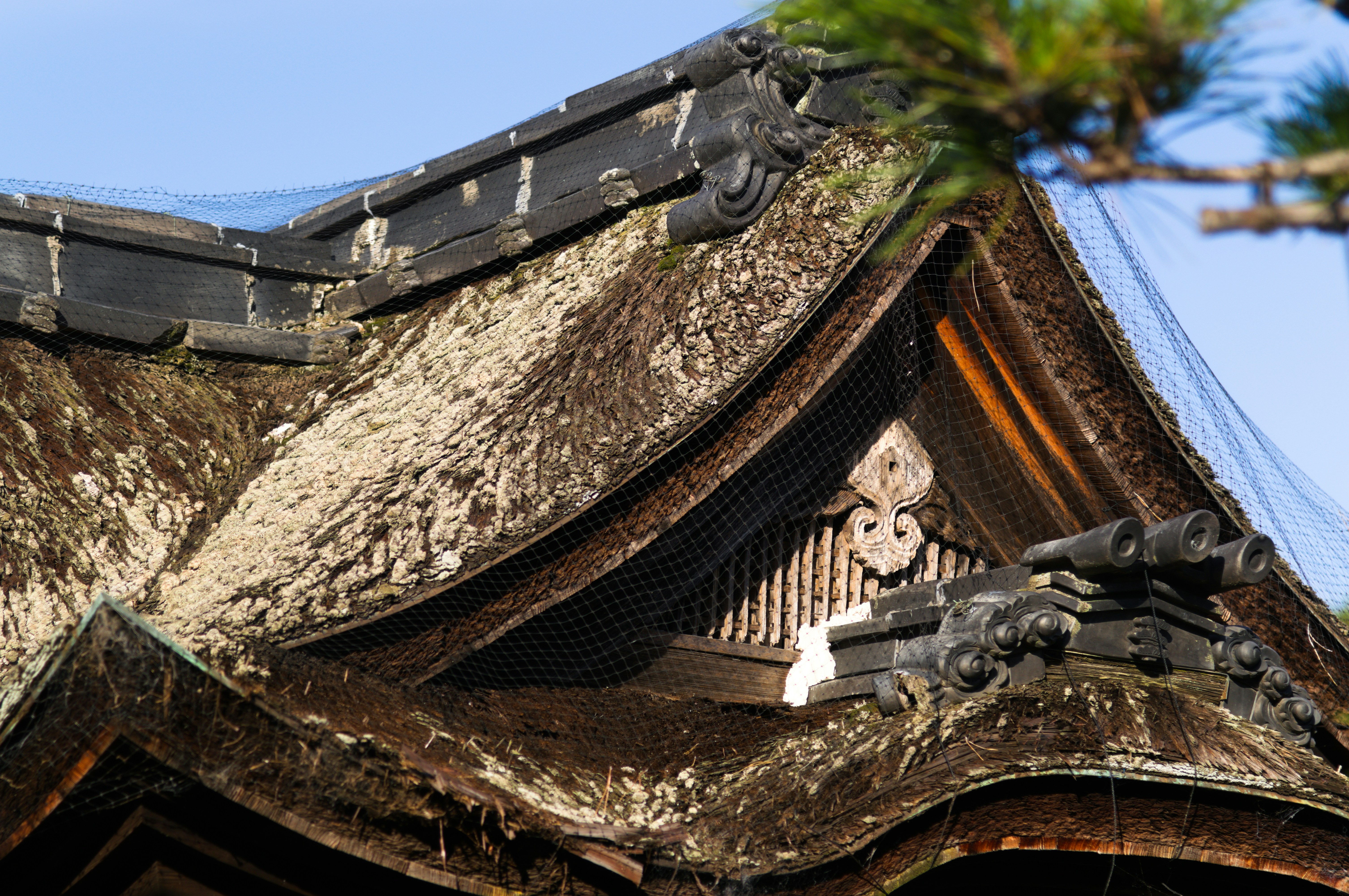 A traditional Japanese thatched roof with dark wooden trim and protective netting