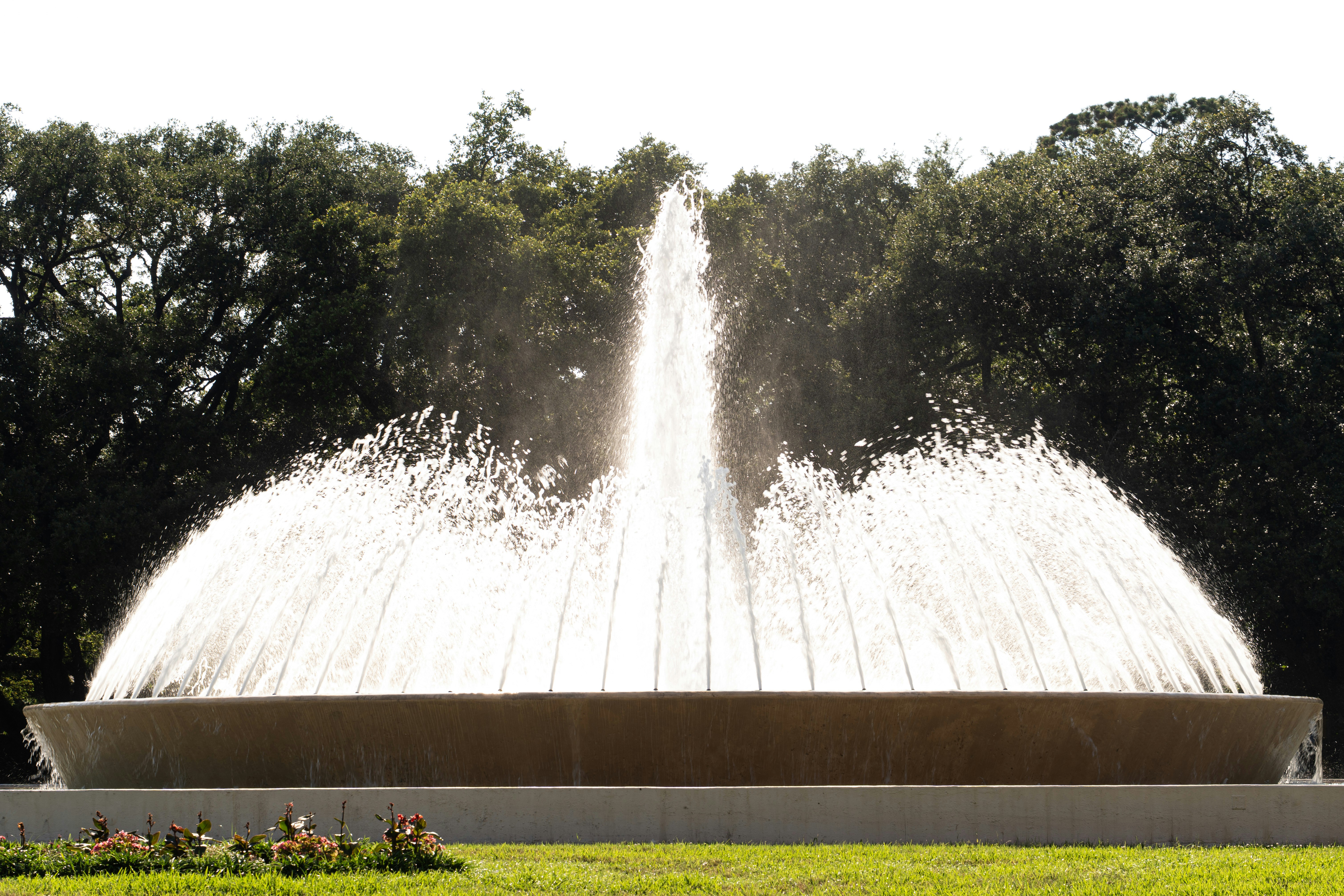 Una gran fuente circular que rocía agua al aire frente a una fila de árboles