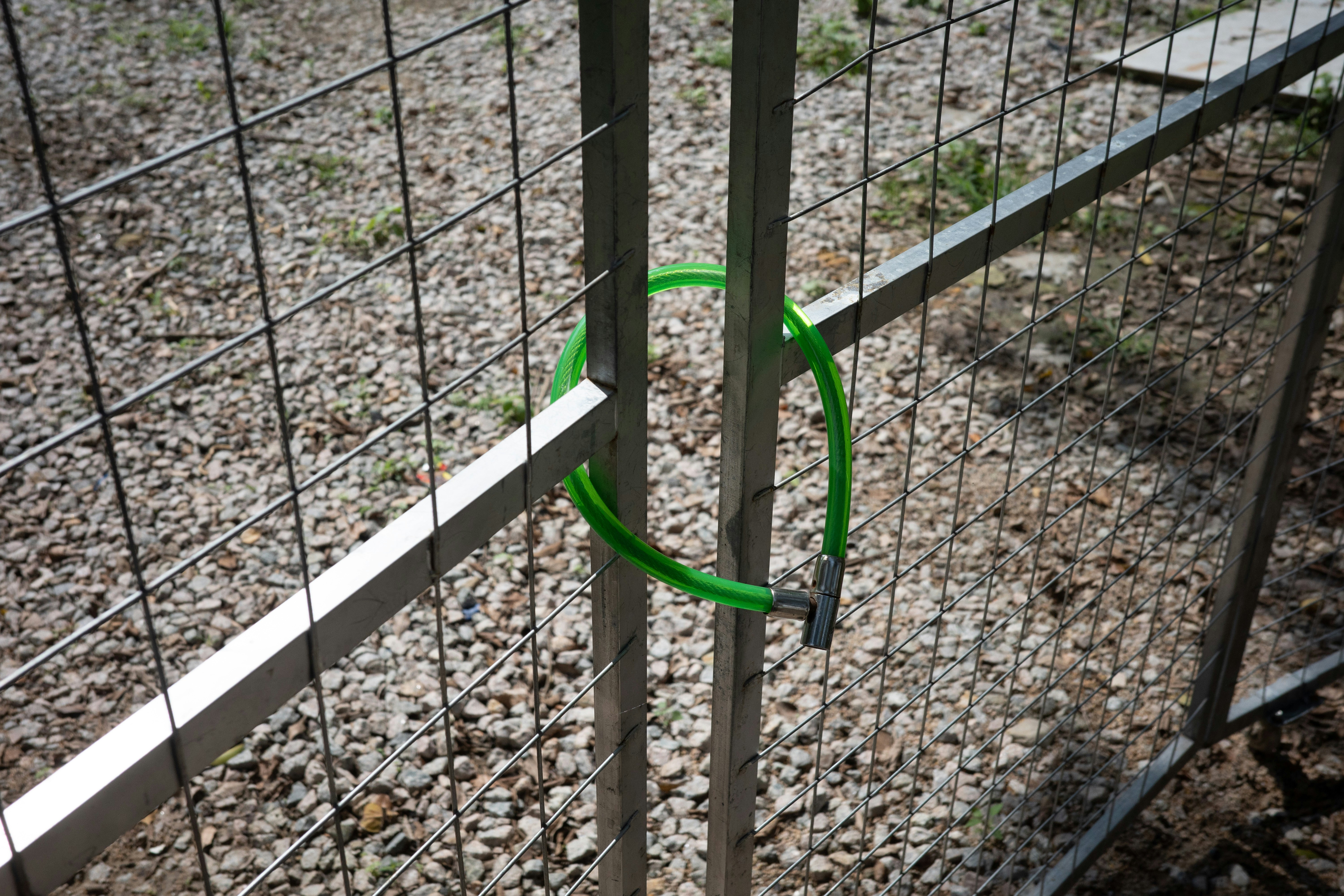 A green cable lock securing a metal wire mesh gate over gravel