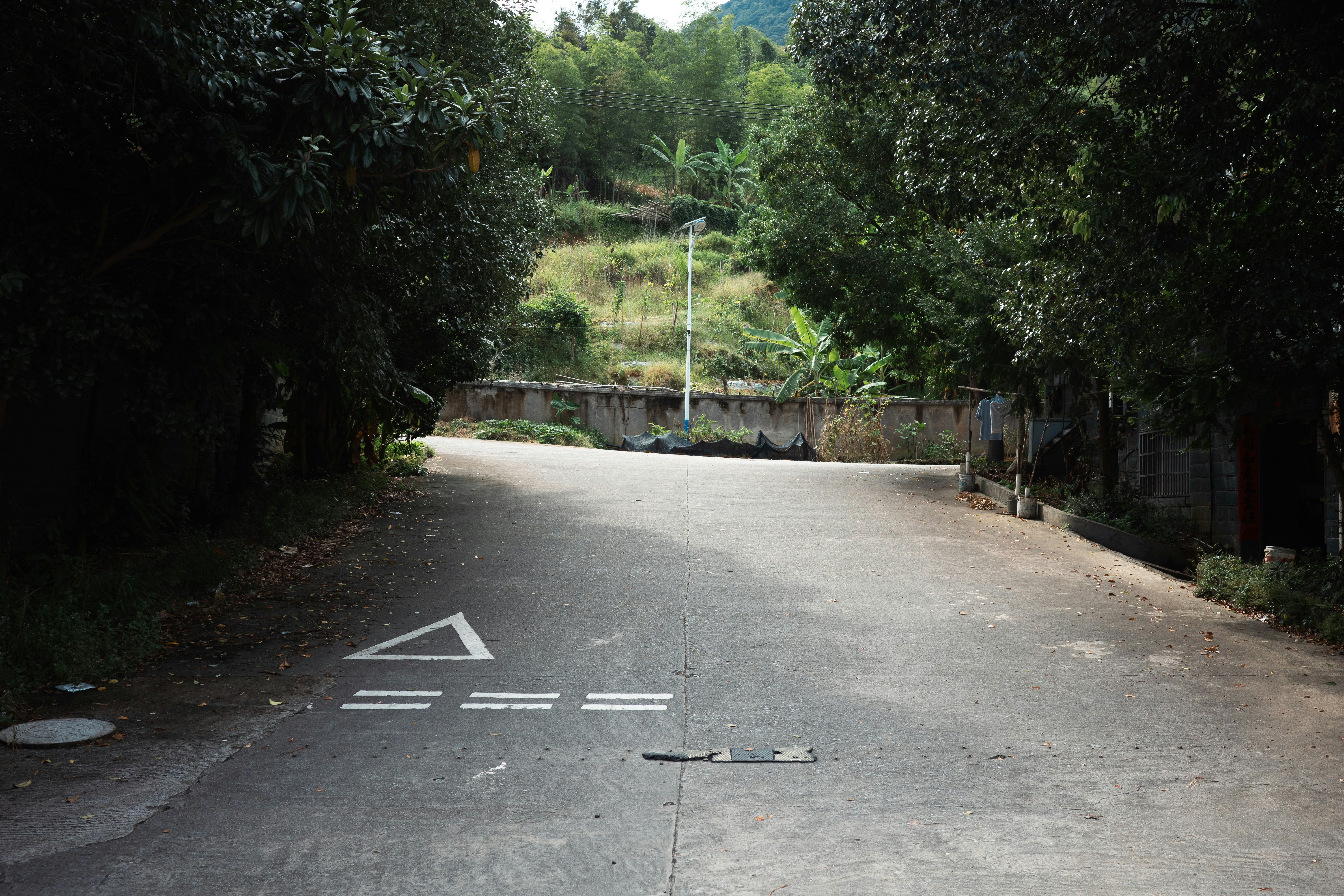 A quiet concrete road with a white triangle marking leading toward a wooded hillside