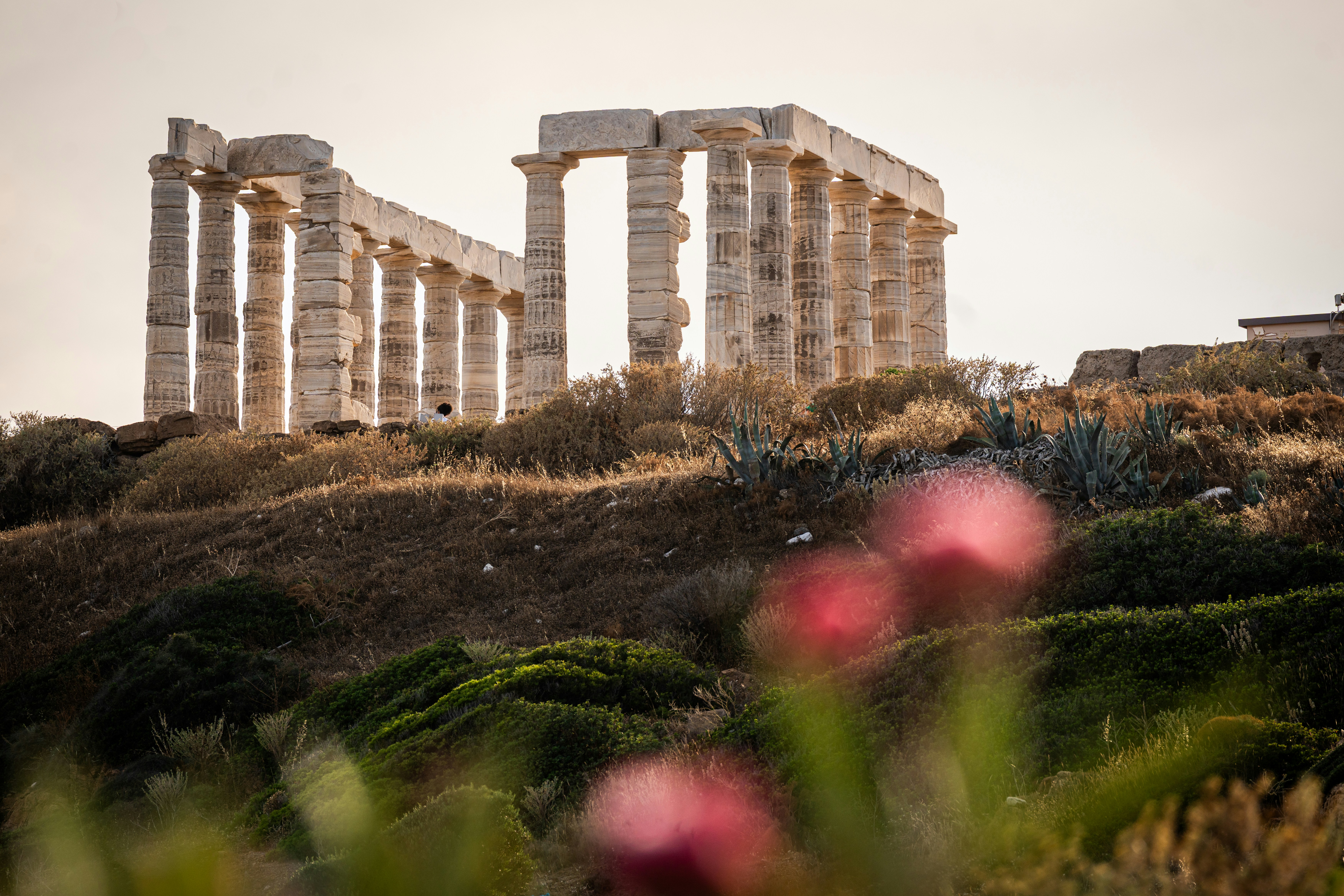 The Temple of Poseidon at Cape Sounion in Greece with blurred flowers in foreground