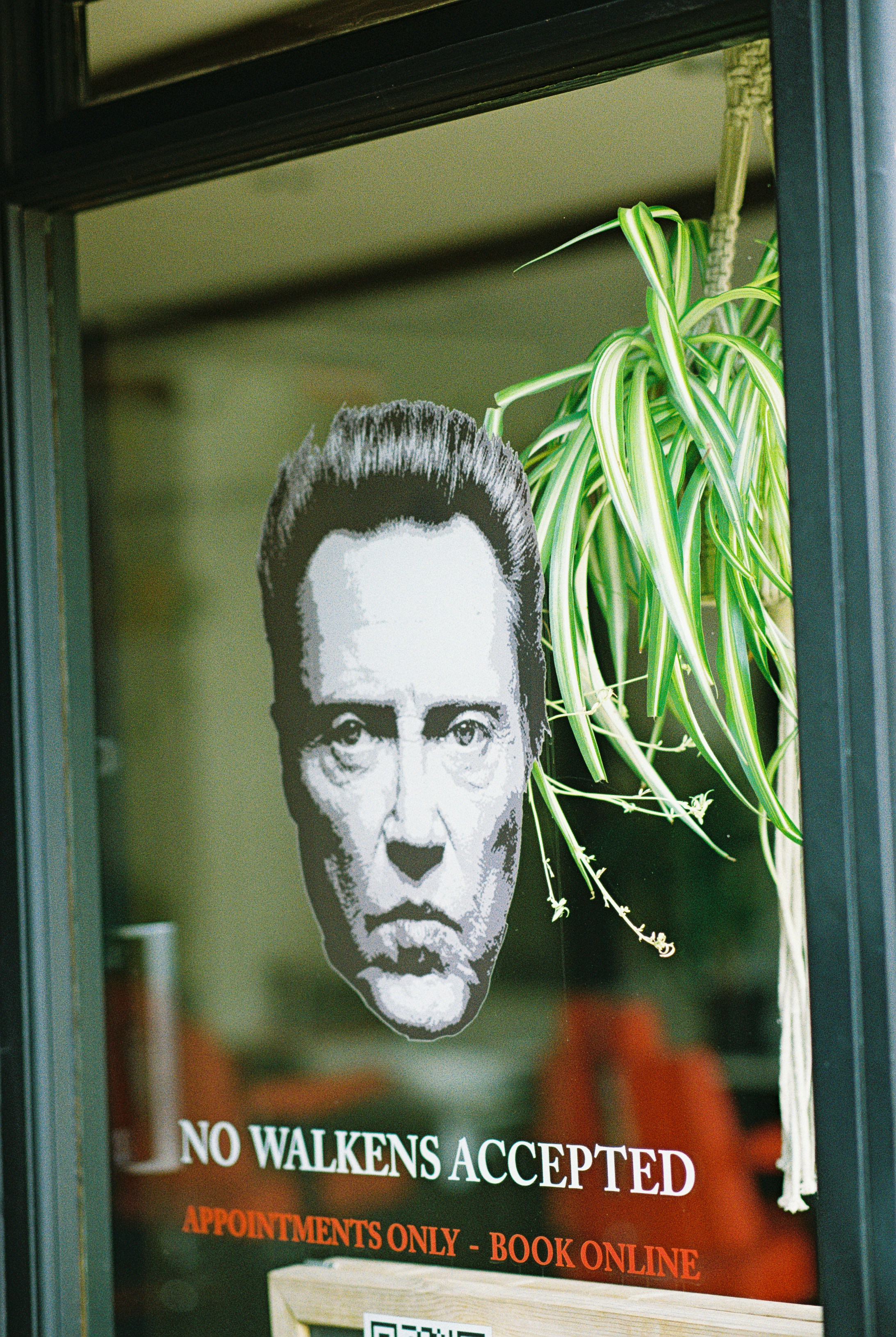 A graphic of a man's face and a spider plant on a glass storefront