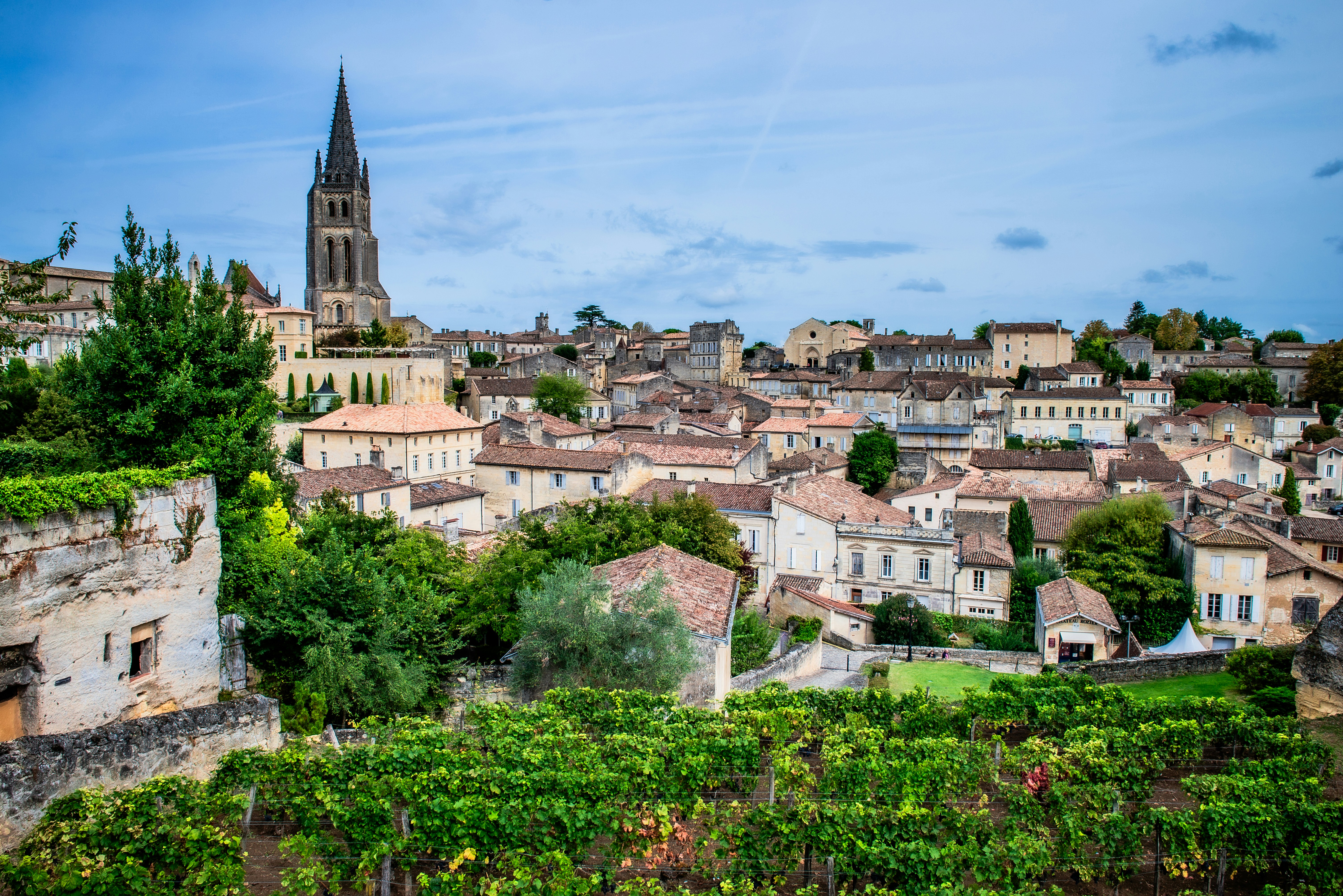 A vineyard in the foreground overlooking the stone buildings and church spire of Saint-Émilion