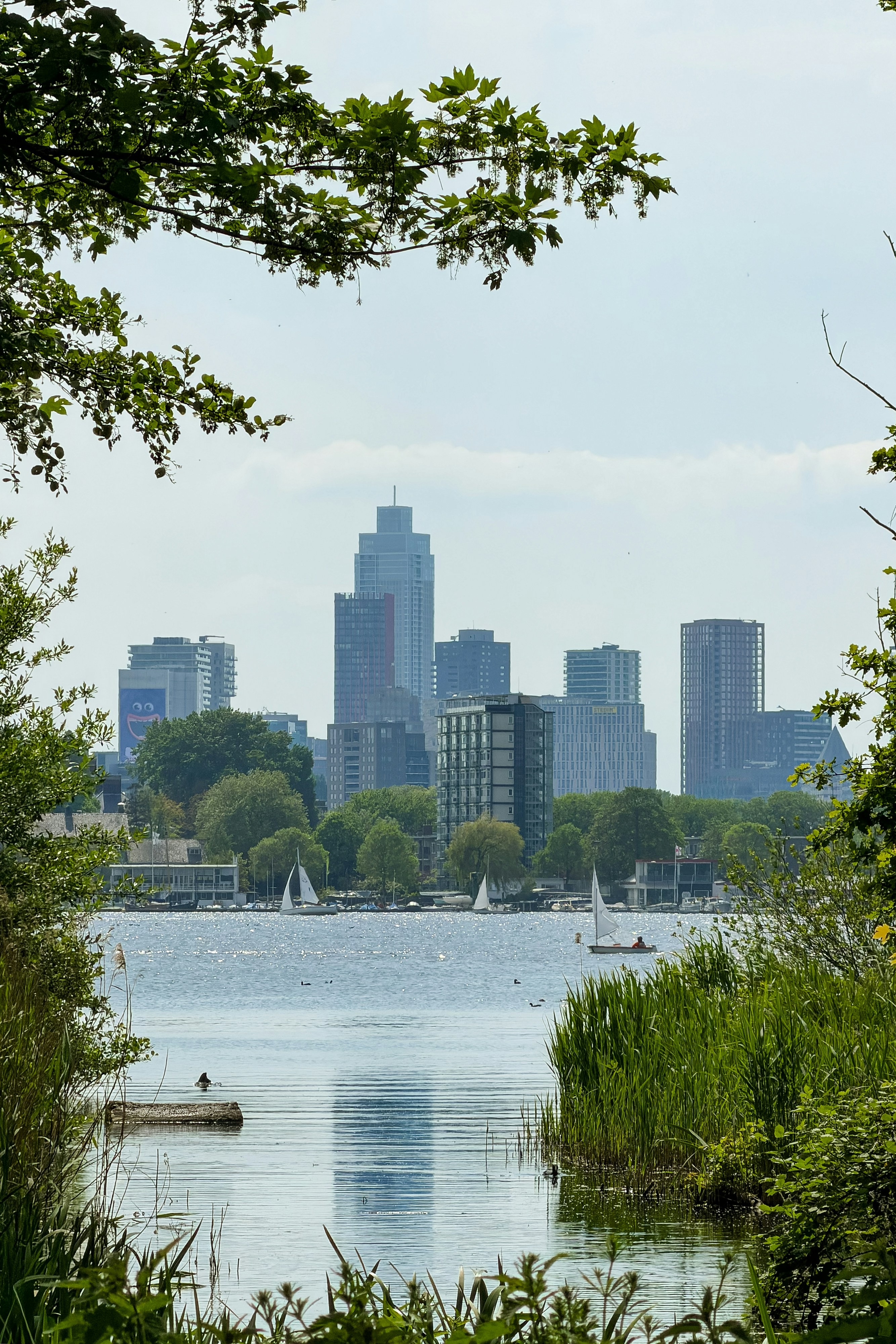 Segelboote auf einem See mit einer Stadtsilhouette in der Ferne, eingerahmt von Bäumen