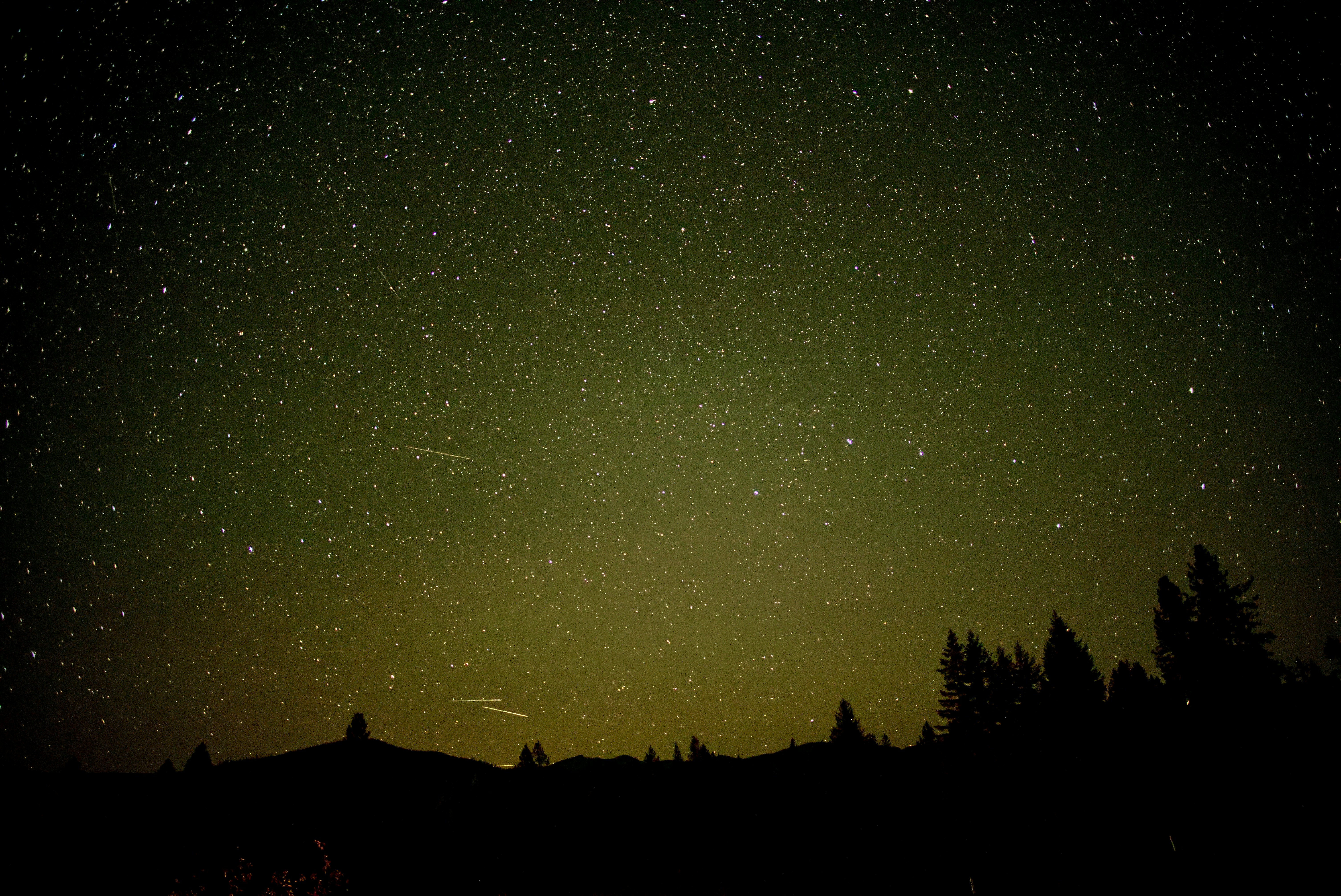 A vast starry night sky above the dark silhouette of a forest treeline