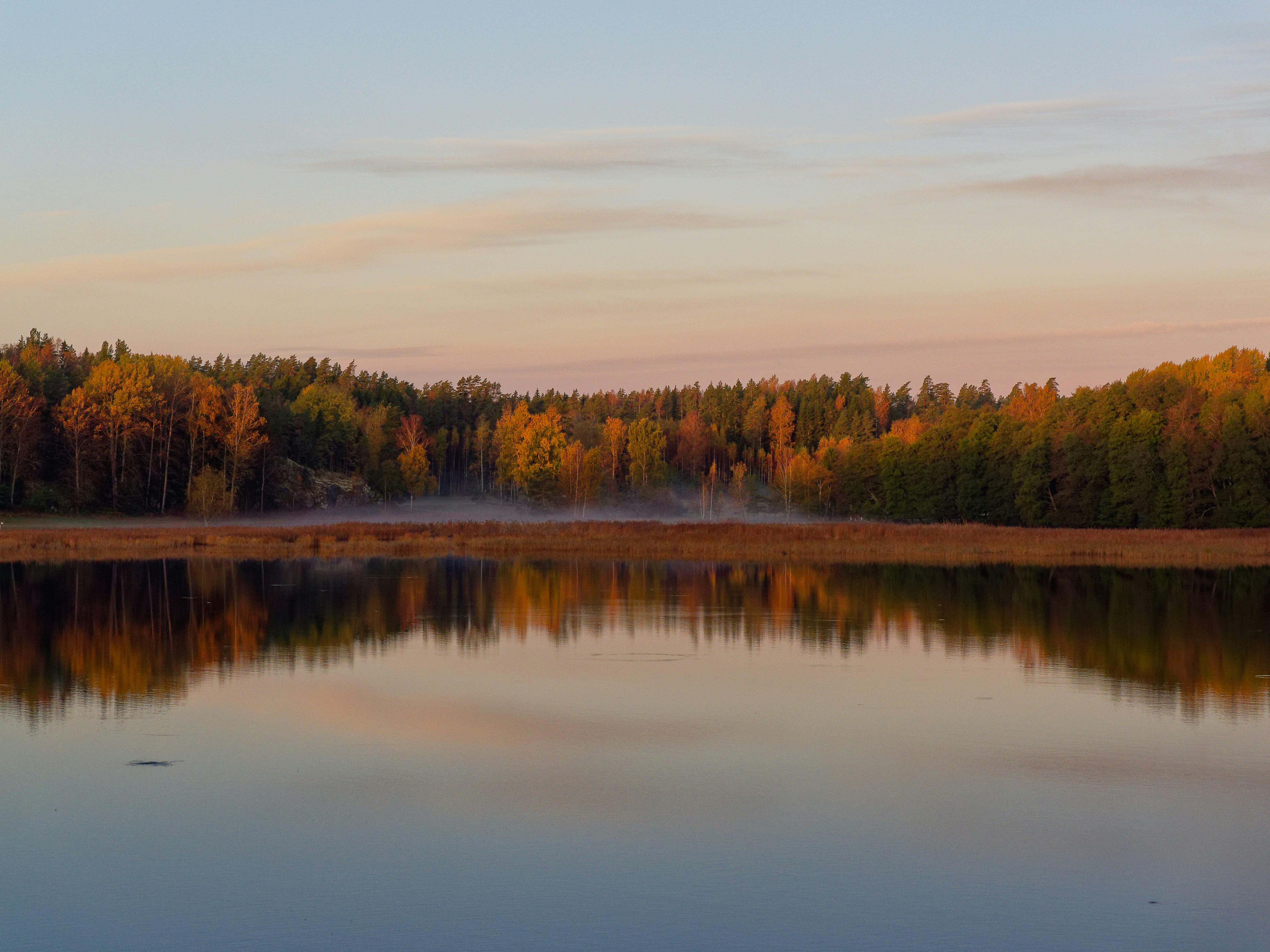 A calm lake reflecting autumn trees and a soft pink sky at low sun