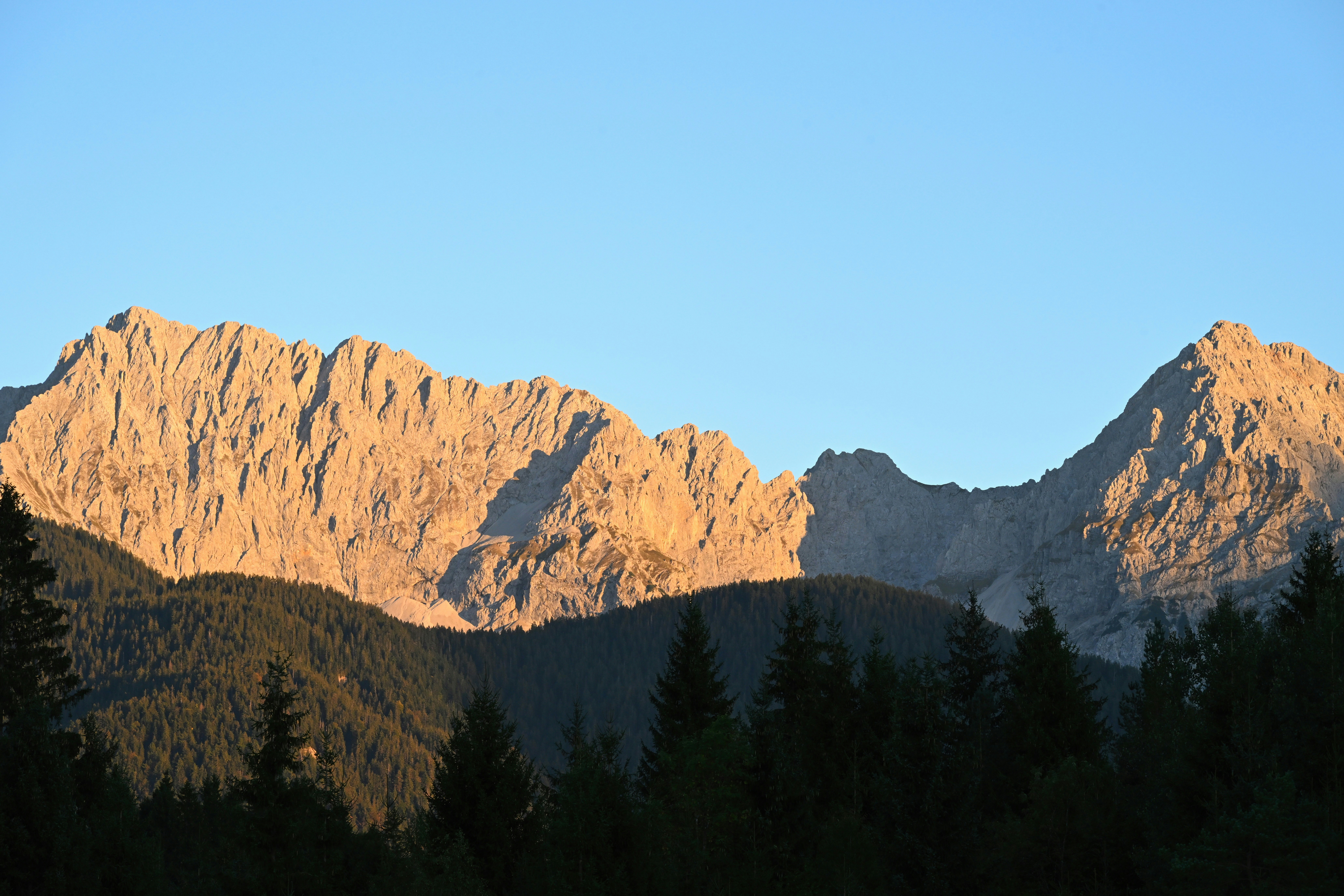 Jagged mountain peaks lit by golden hour light above a dark pine forest