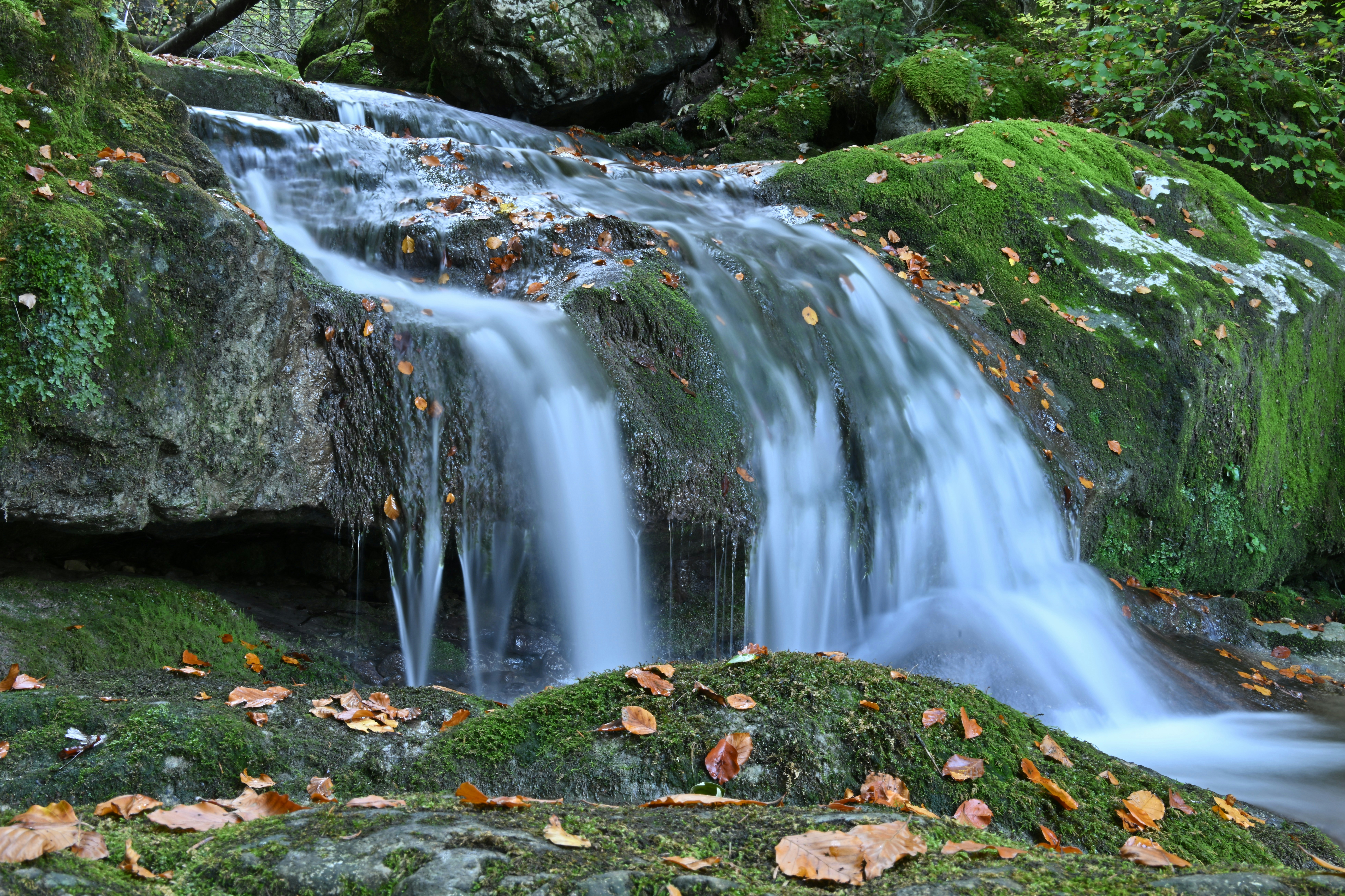 A small waterfall flowing over mossy rocks with scattered autumn leaves