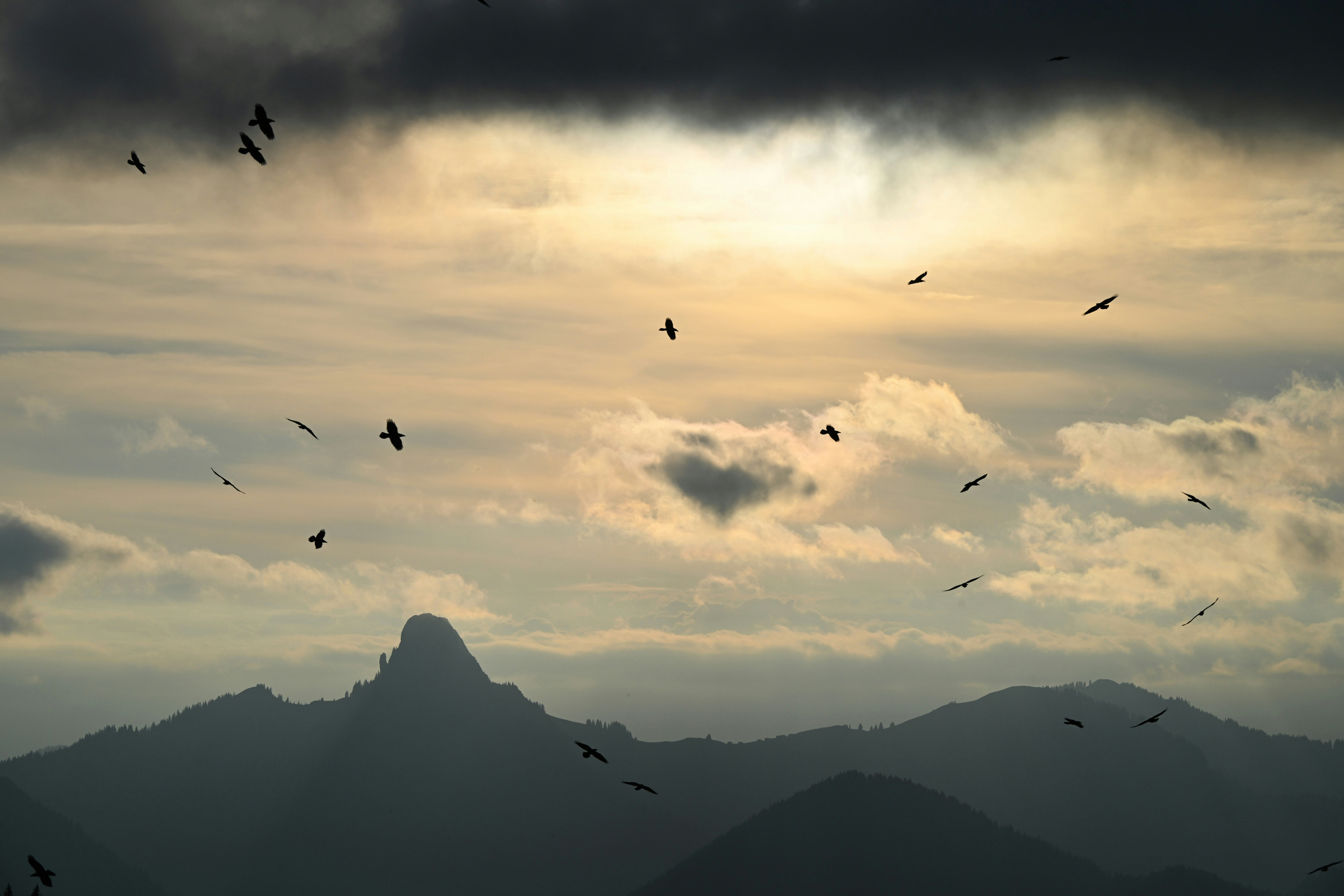 A flock of birds flying over dark mountain silhouettes against a cloudy sky