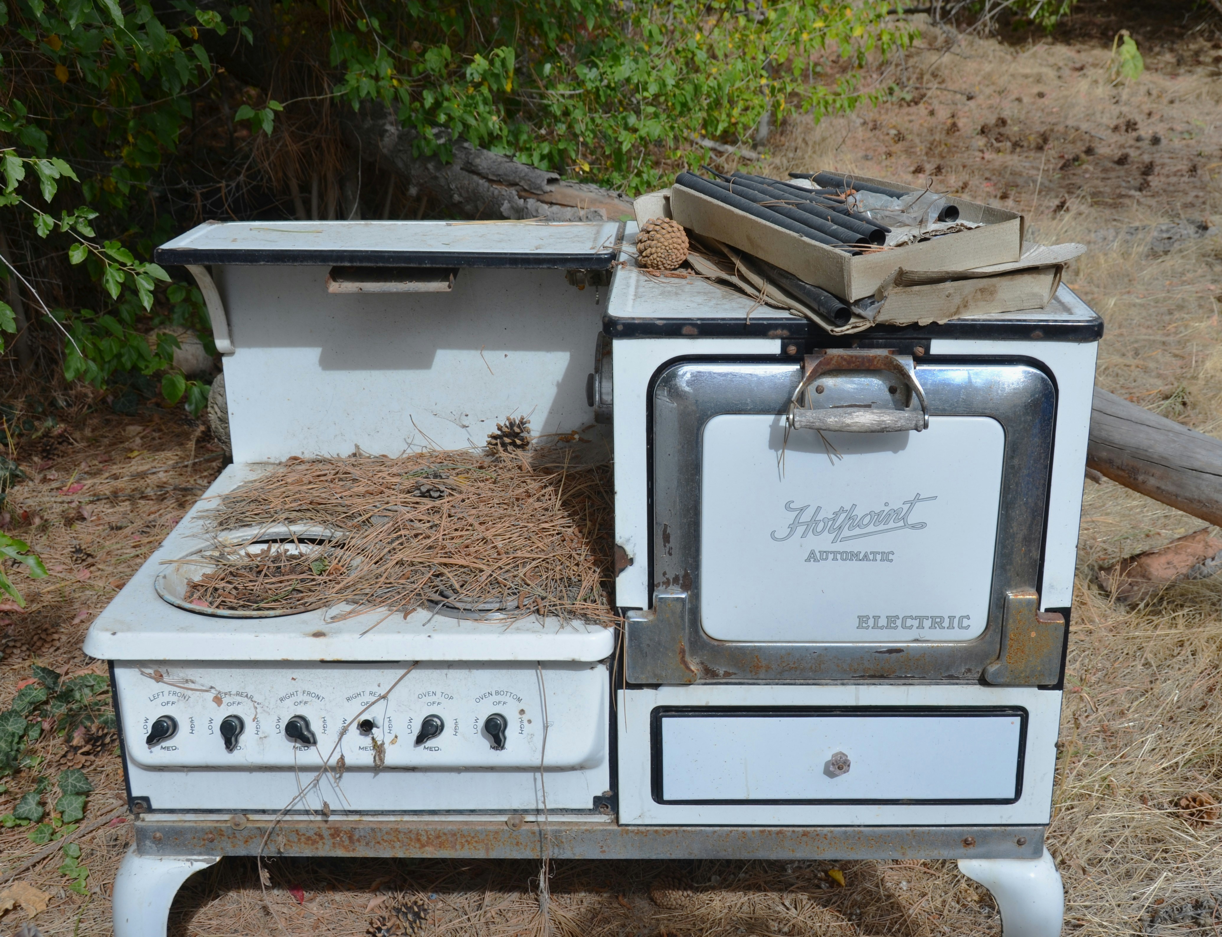 An abandoned white electric stove covered in pine needles in a wooded area