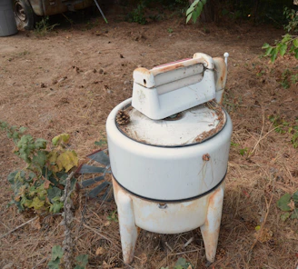 A vintage white wringer washing machine on a dry pine needle ground