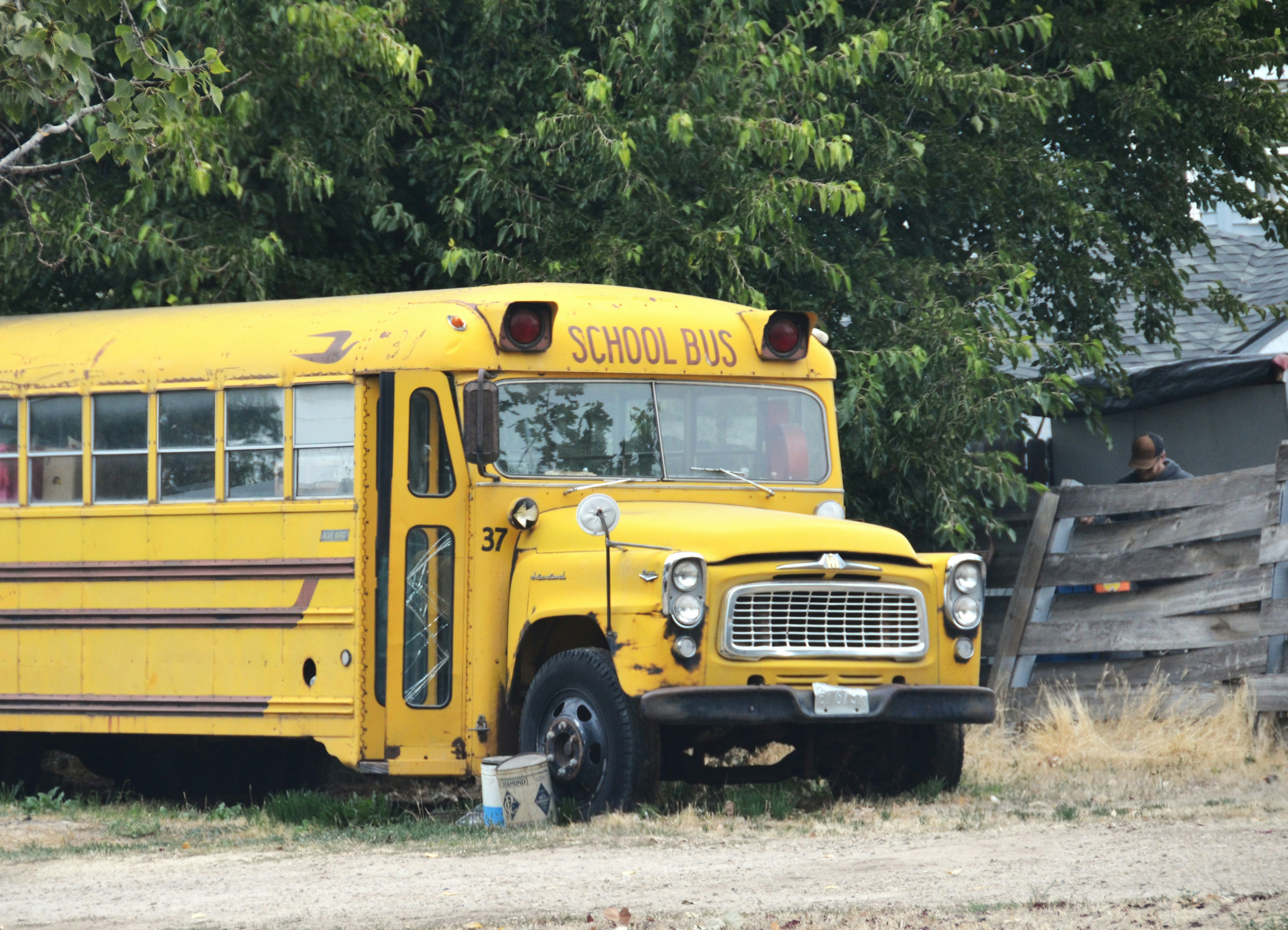 A yellow school bus parked on a dirt lot near a wooden fence
