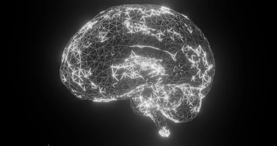A glowing white wireframe human brain model against a solid black background