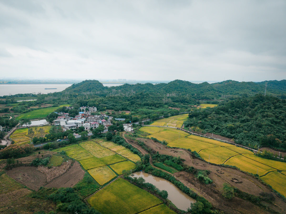 Pandangan udara desa kecil dikelilingi sawah dan perbukitan hijau