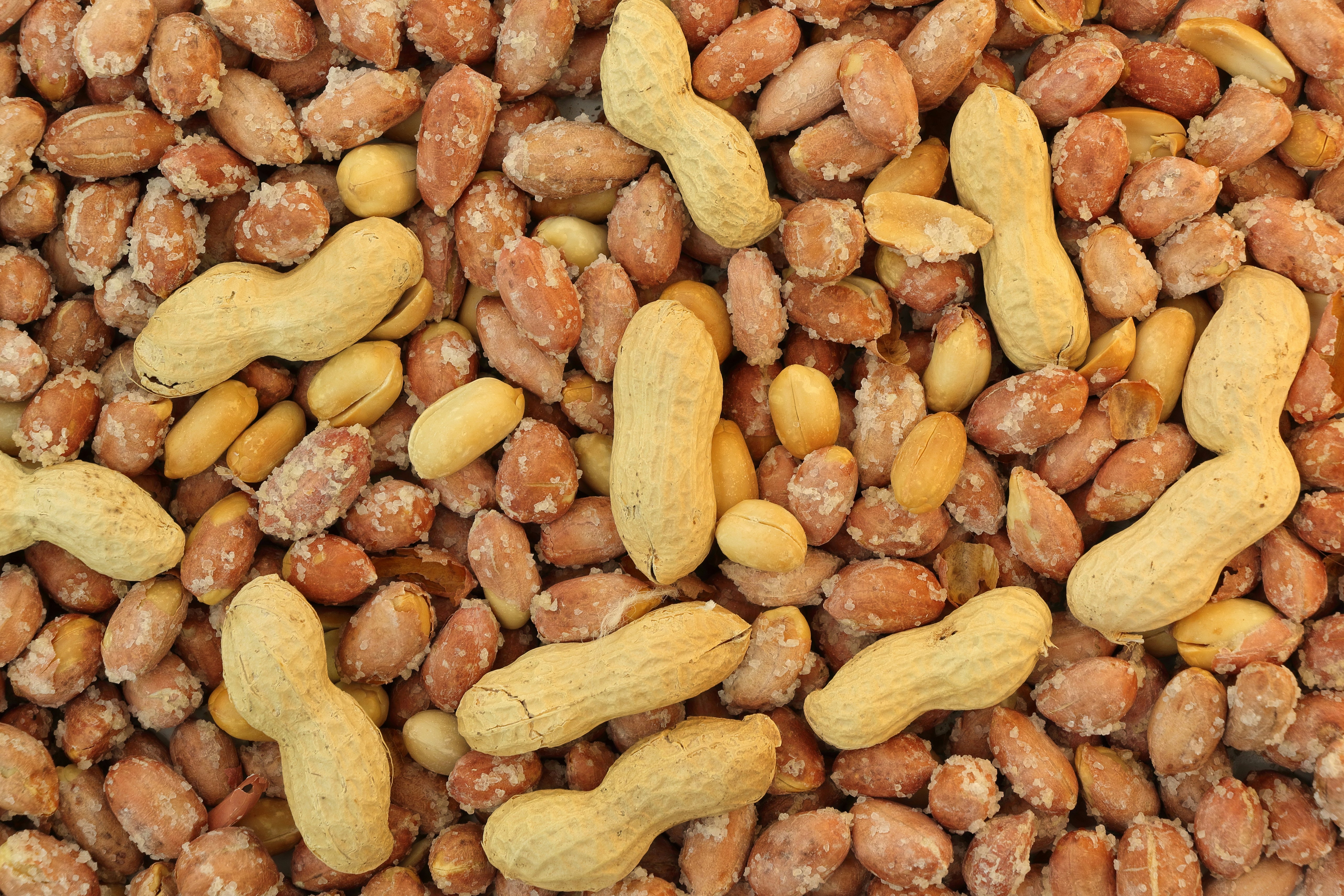 A mixture of whole peanuts in shells and shelled salted peanuts