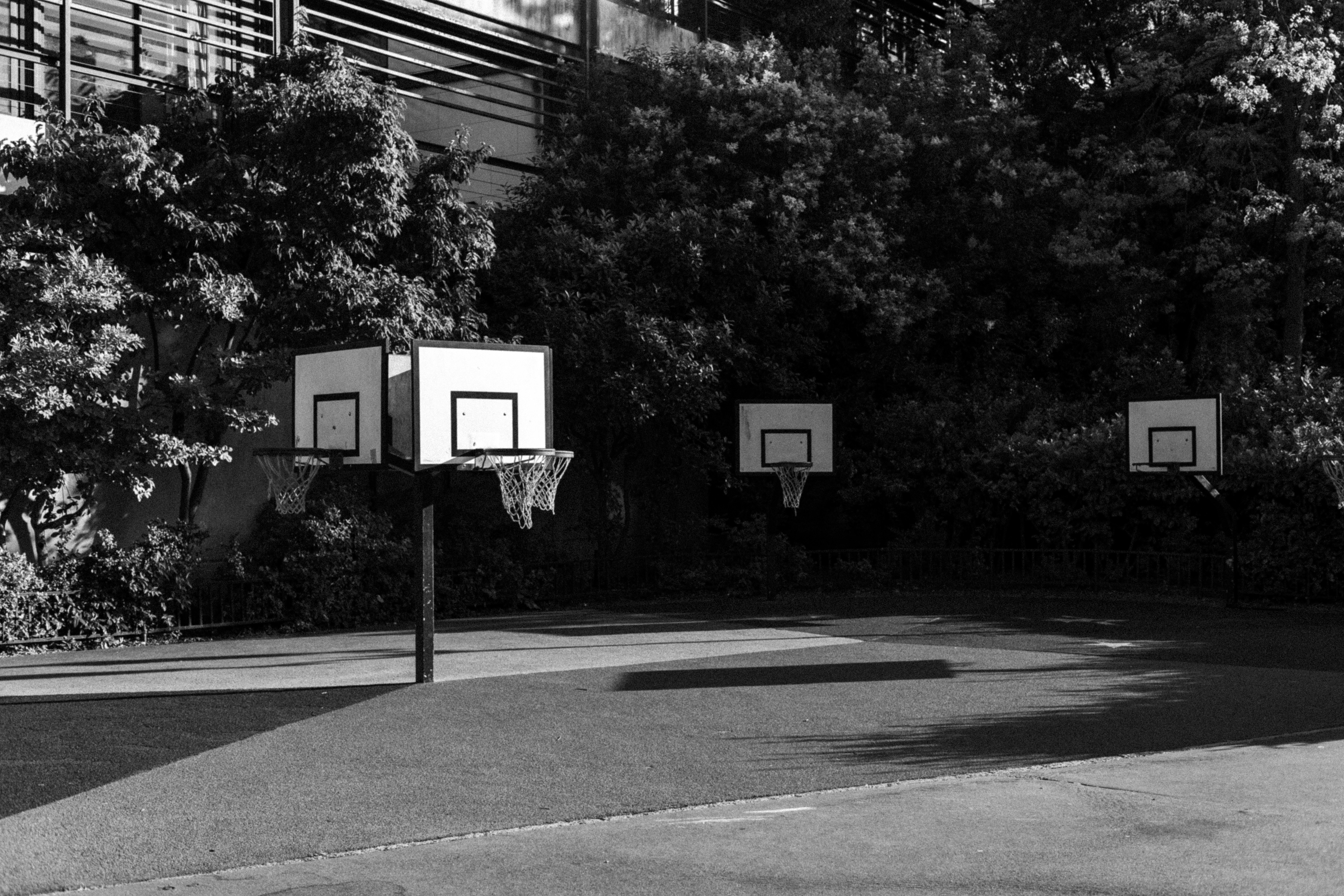 Three basketball hoops on a paved outdoor court surrounded by dense trees