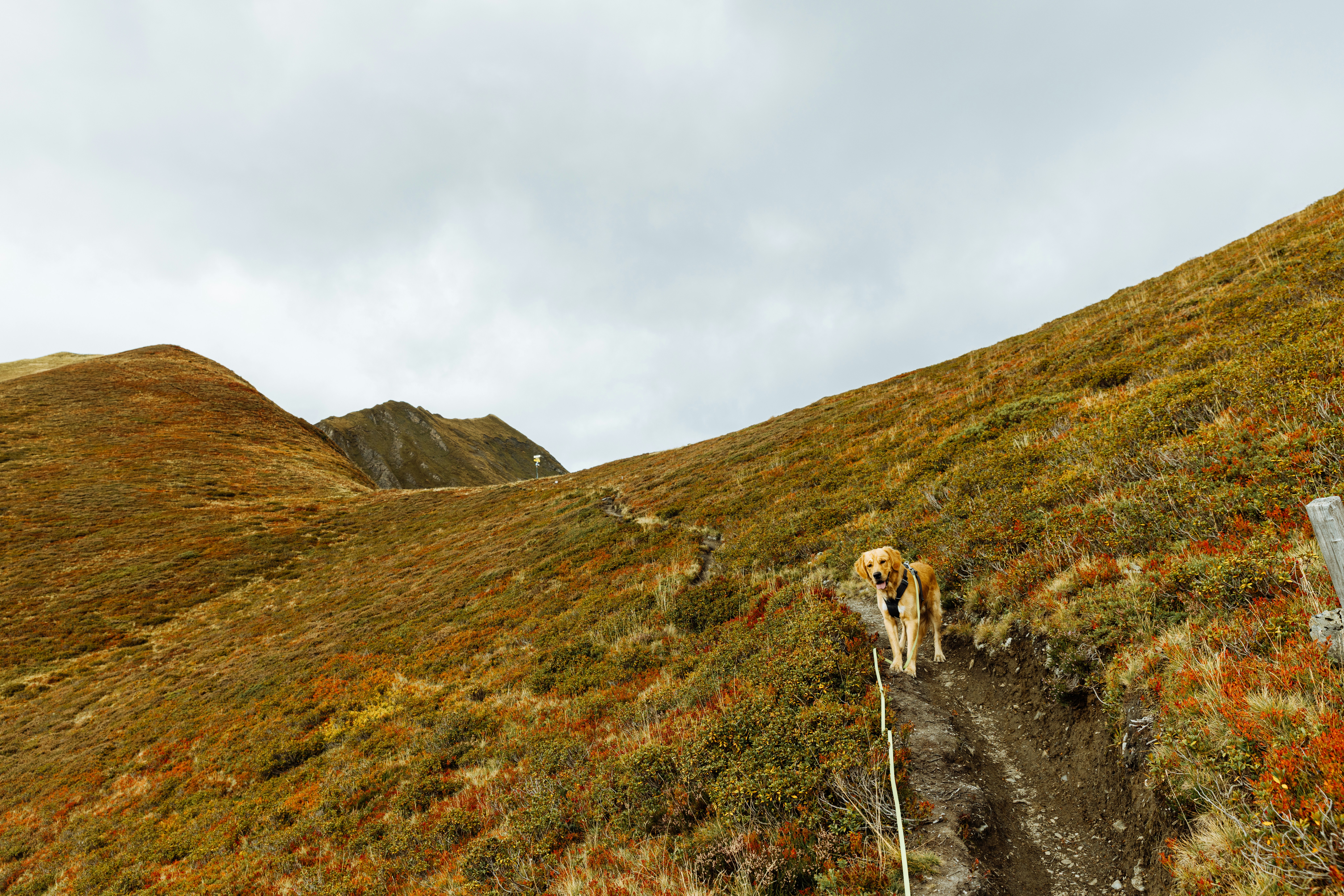 Col d'Aspin → Plo del Naou — Campan