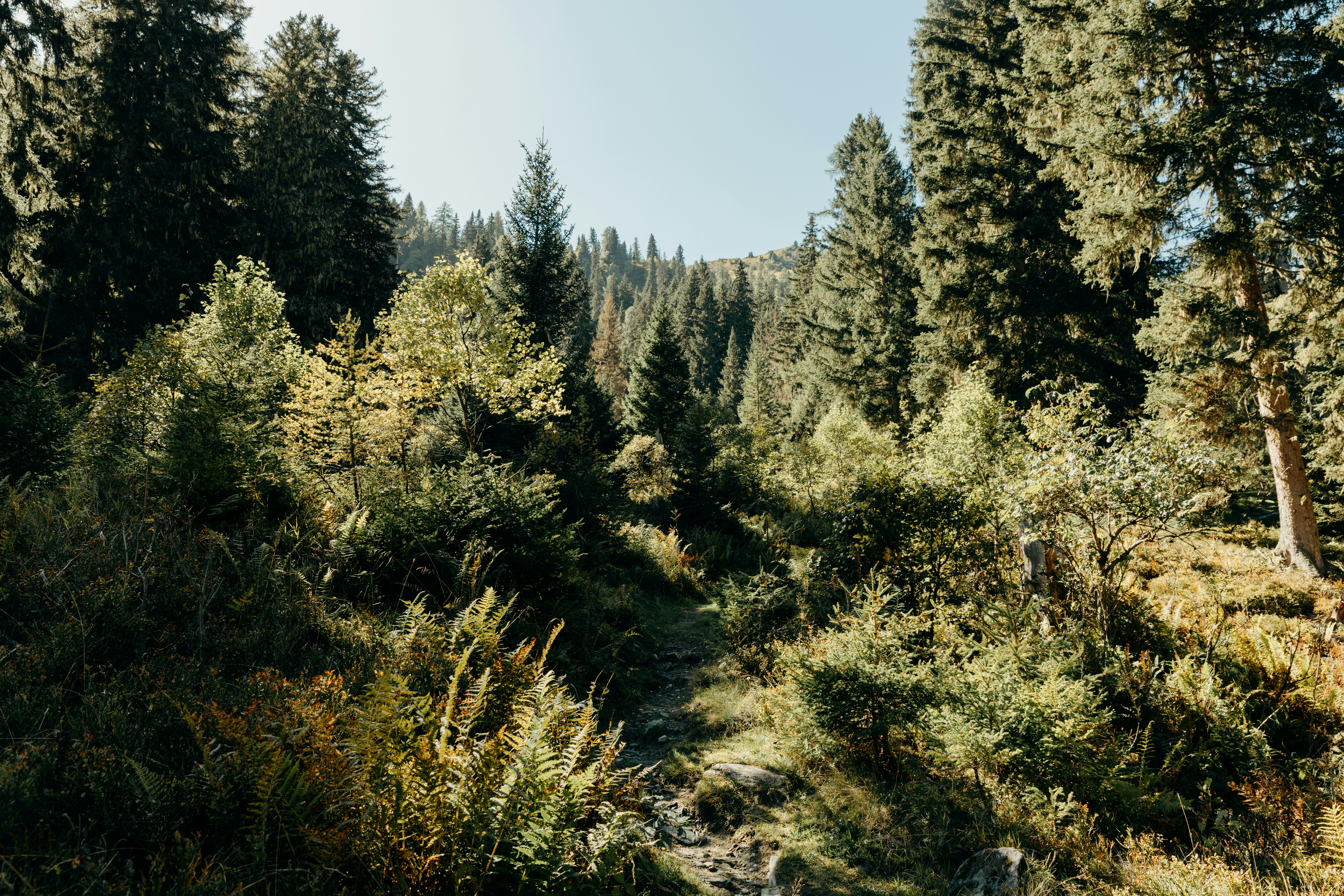 Forêt de Breteuil — Breteuil-sur-Iton