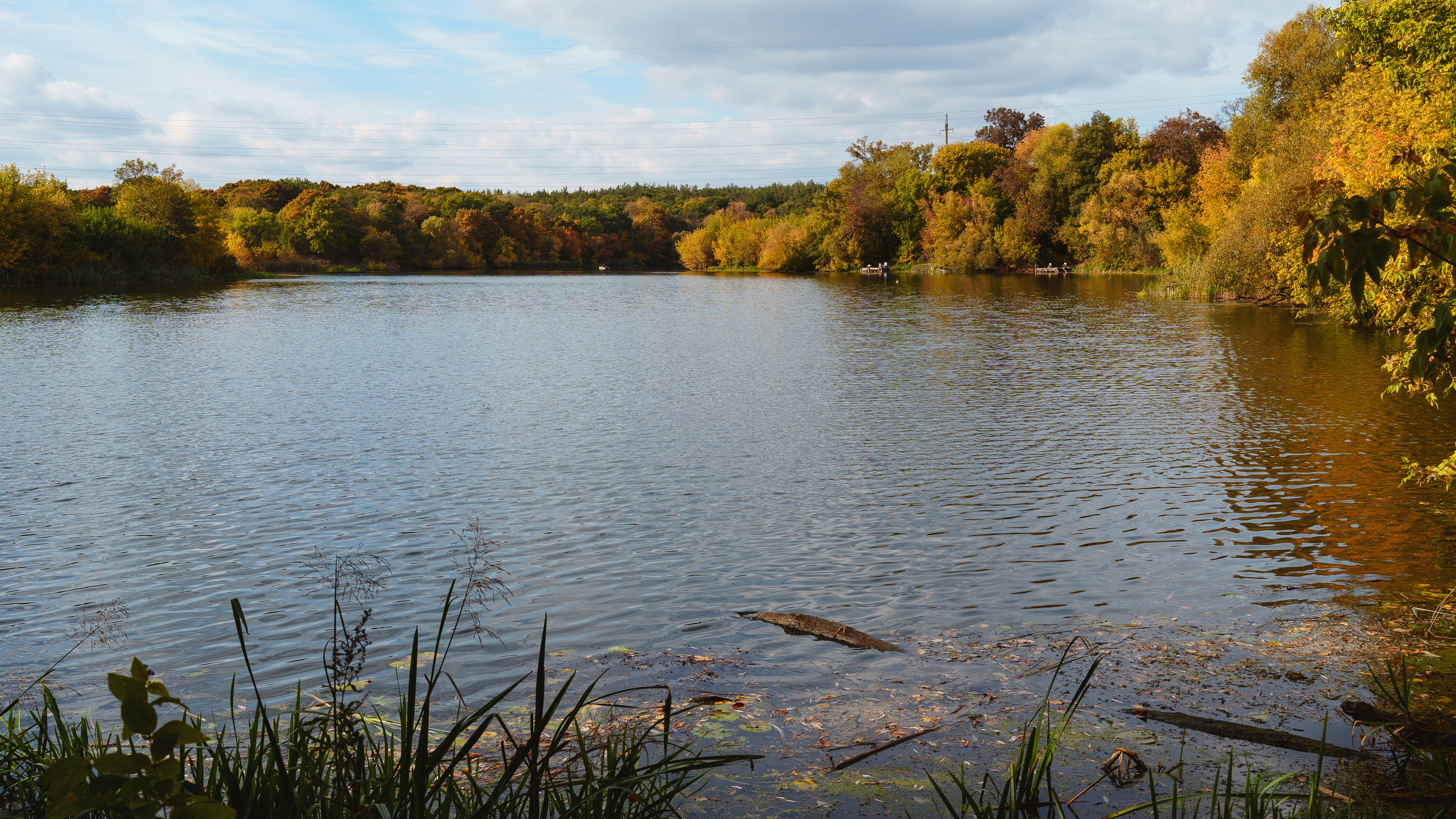 A calm lake surrounded by autumn trees with yellow and orange foliage