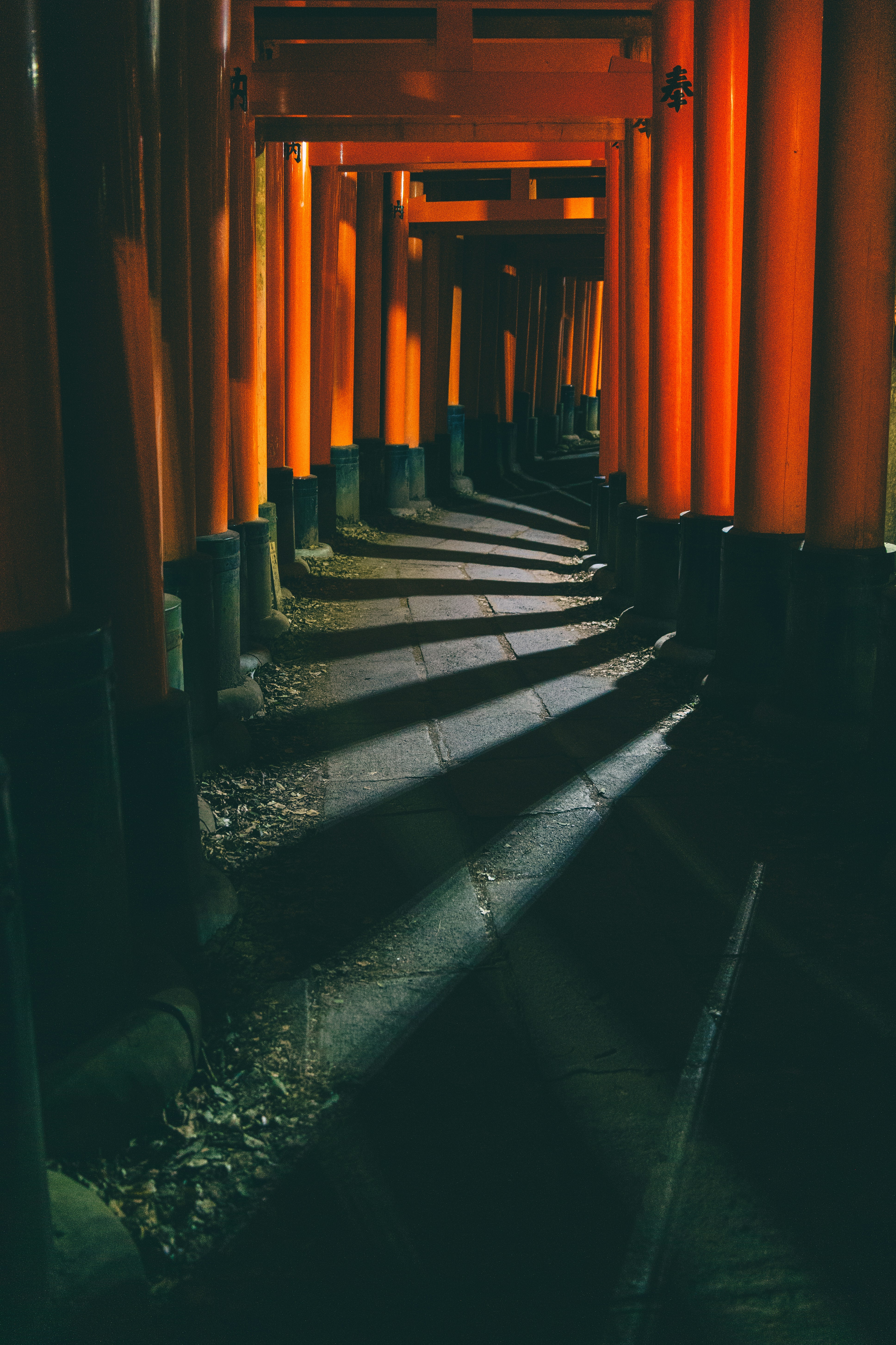 Orange torii gates lining a stone path with long shadows in Kyoto