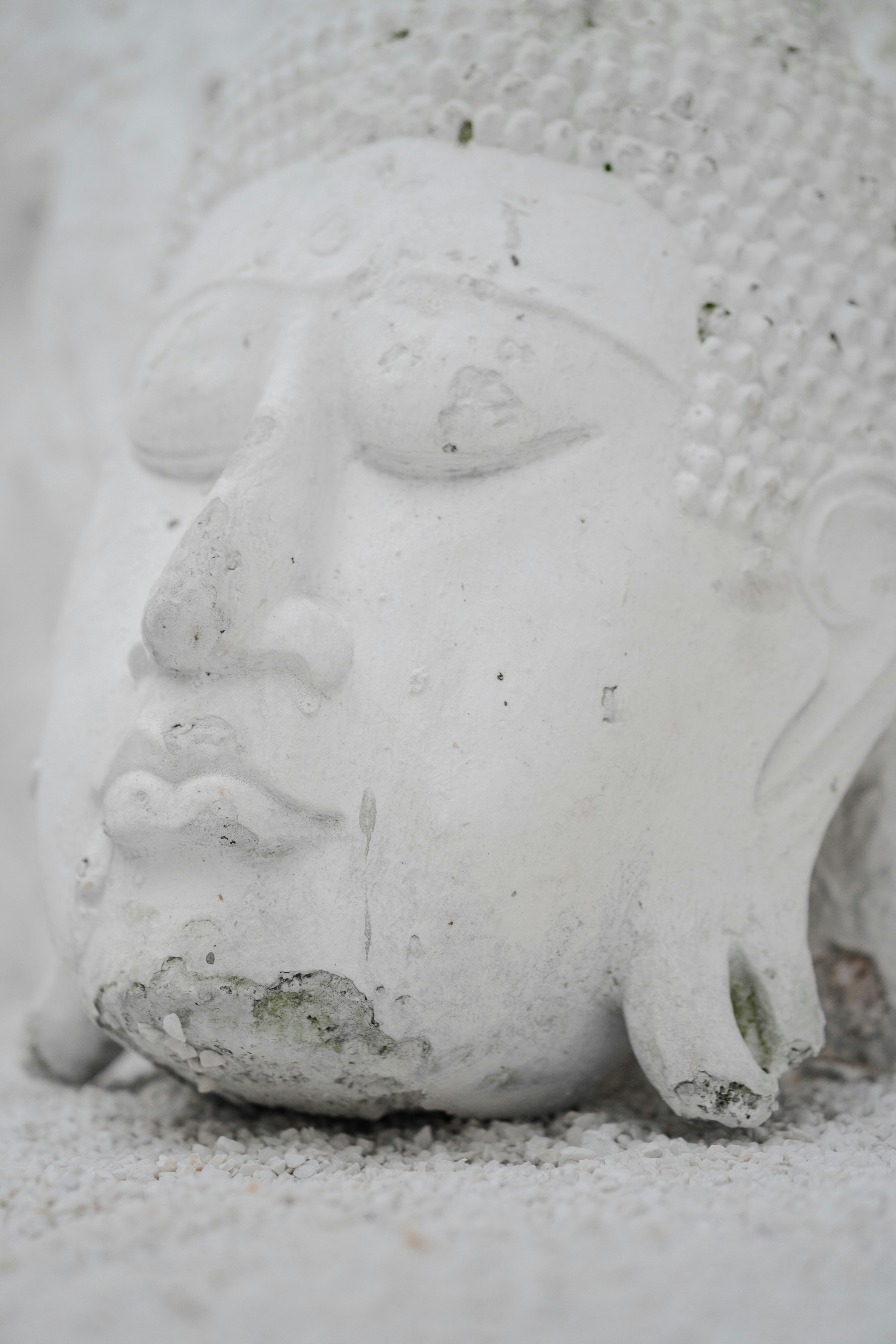 A weathered white stone Buddha head sculpture resting on a bed of white gravel
