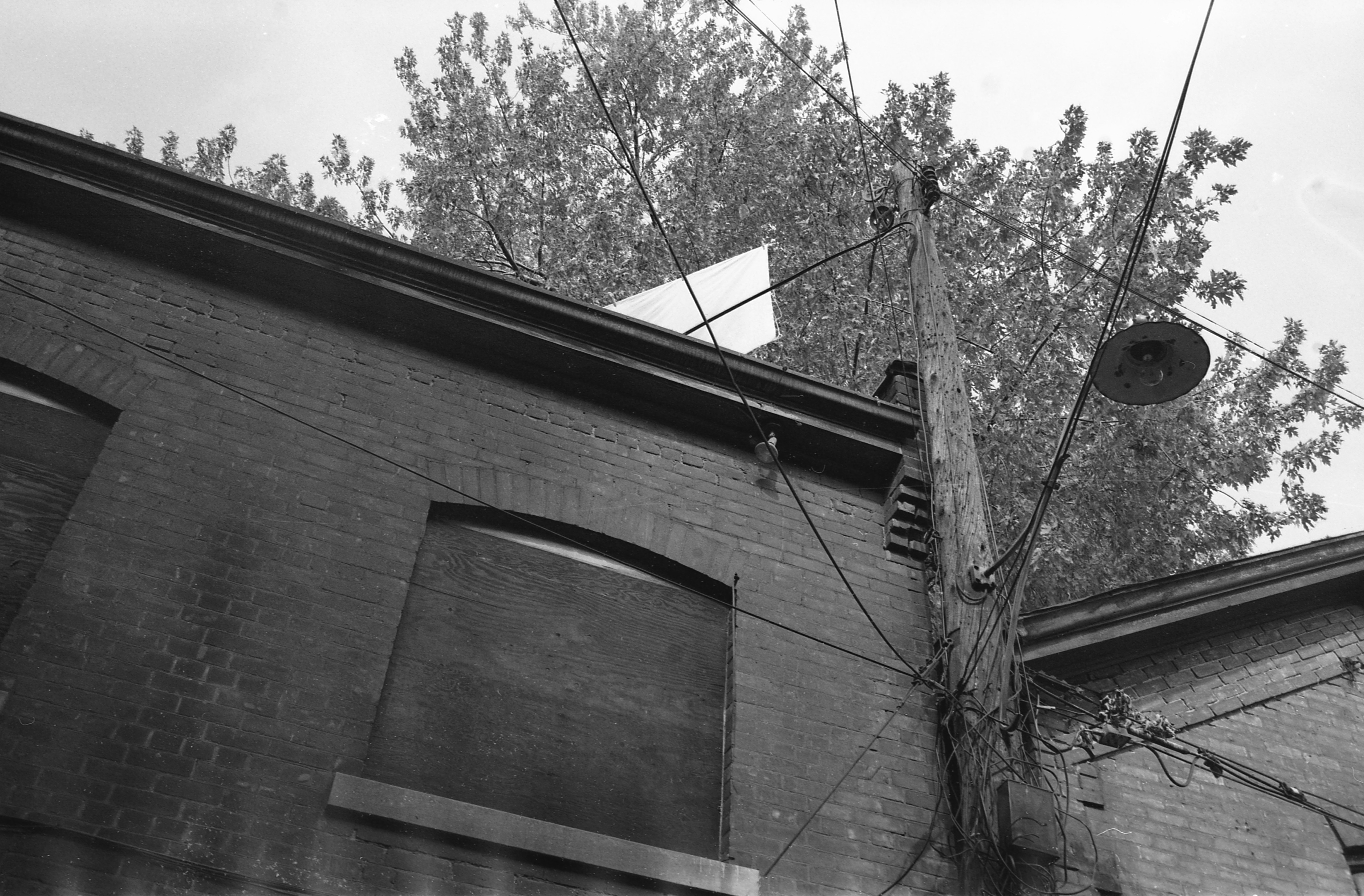 A wooden utility pole with tangled wires against a brick building and trees