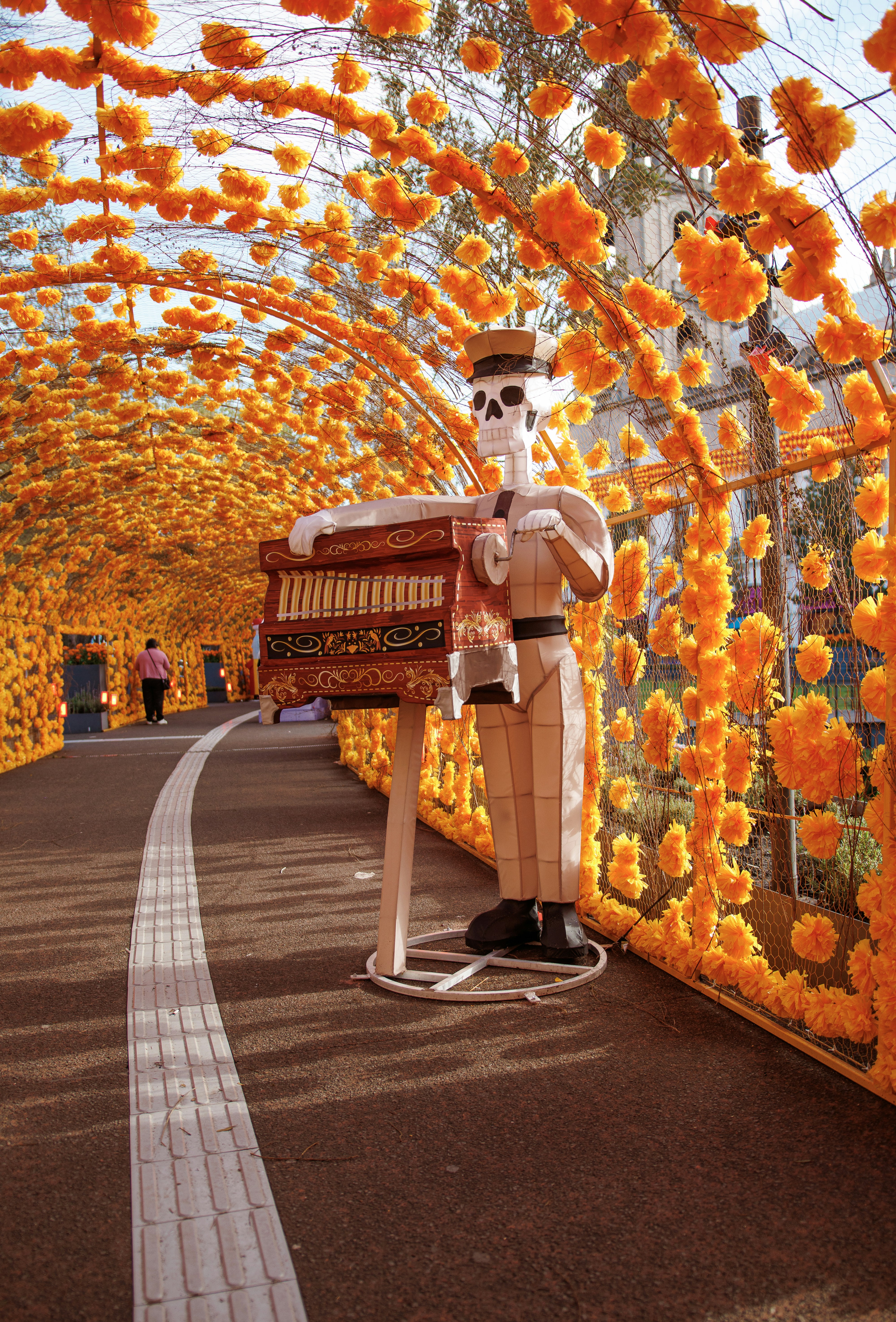 A skeleton figure playing a street organ inside a tunnel of orange marigold flowers