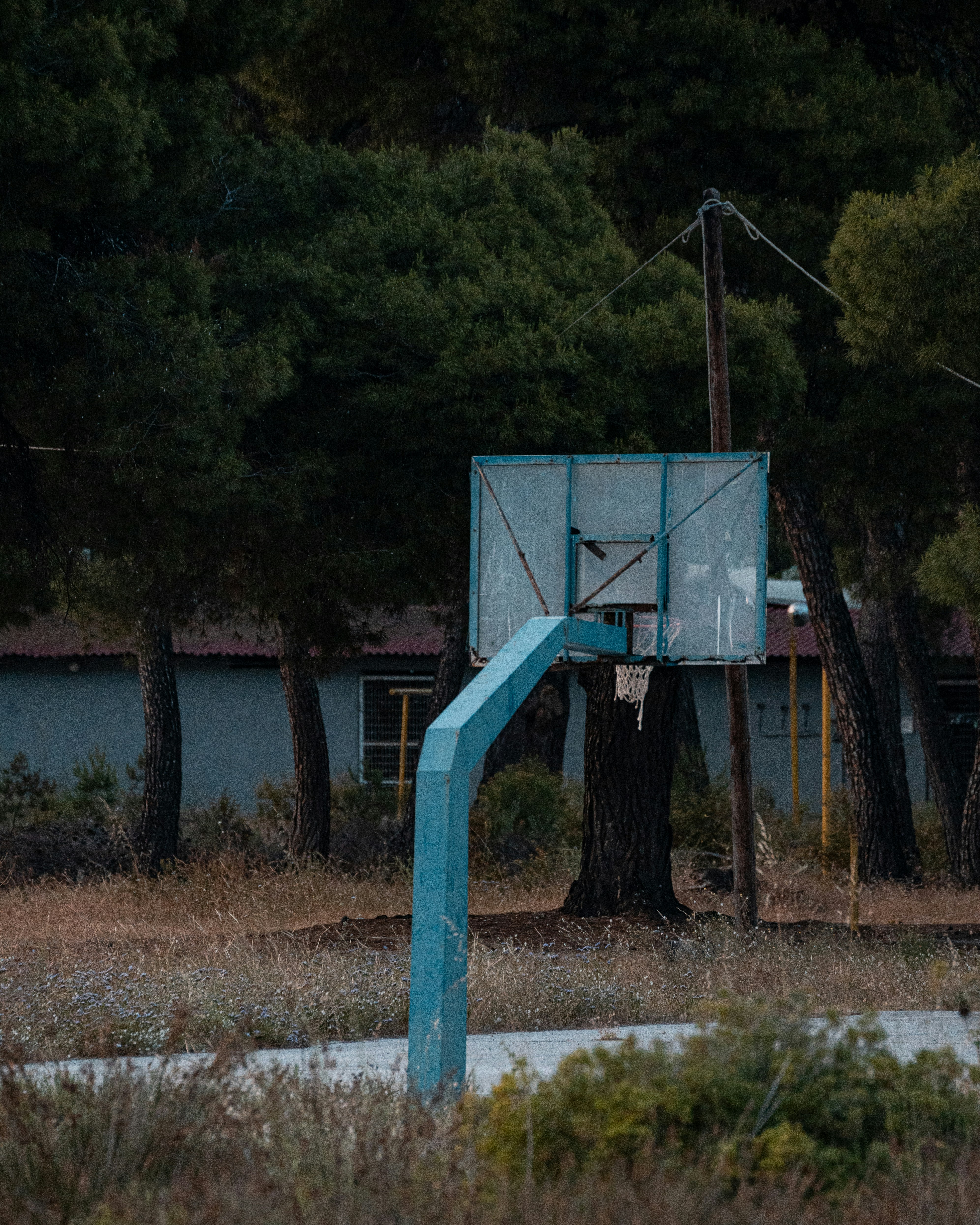 A weathered blue basketball hoop on a pole in a wooded area