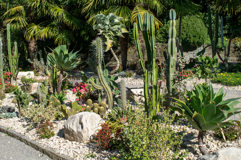 Xeriscaping & Turf in Grapevine, TX