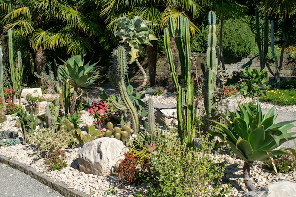 Xeriscaping & Turf in Carrollton, TX