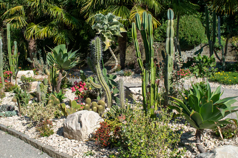 Xeriscaping & Turf in Grapevine, TX