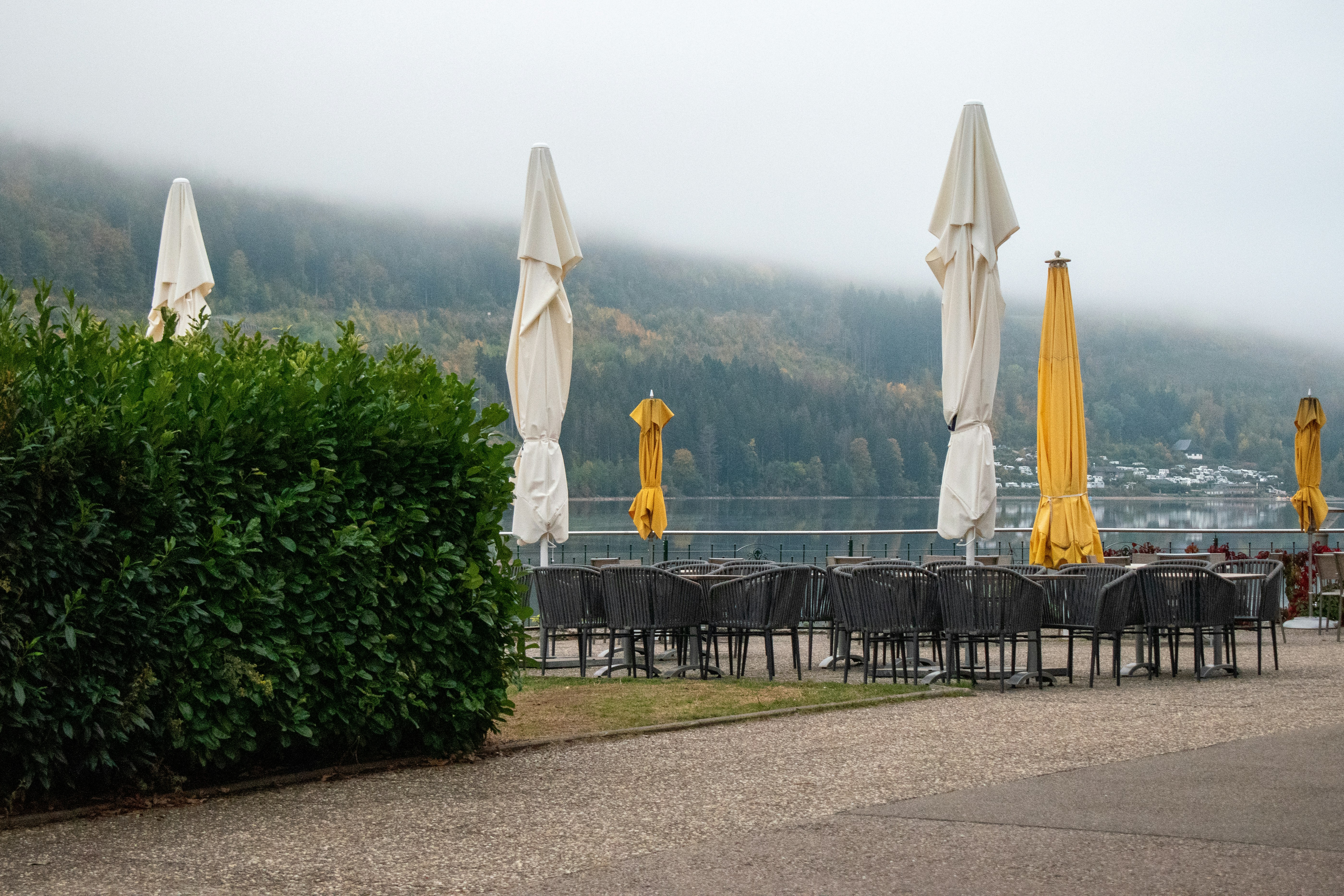 Le Bord du Lac — Cholet