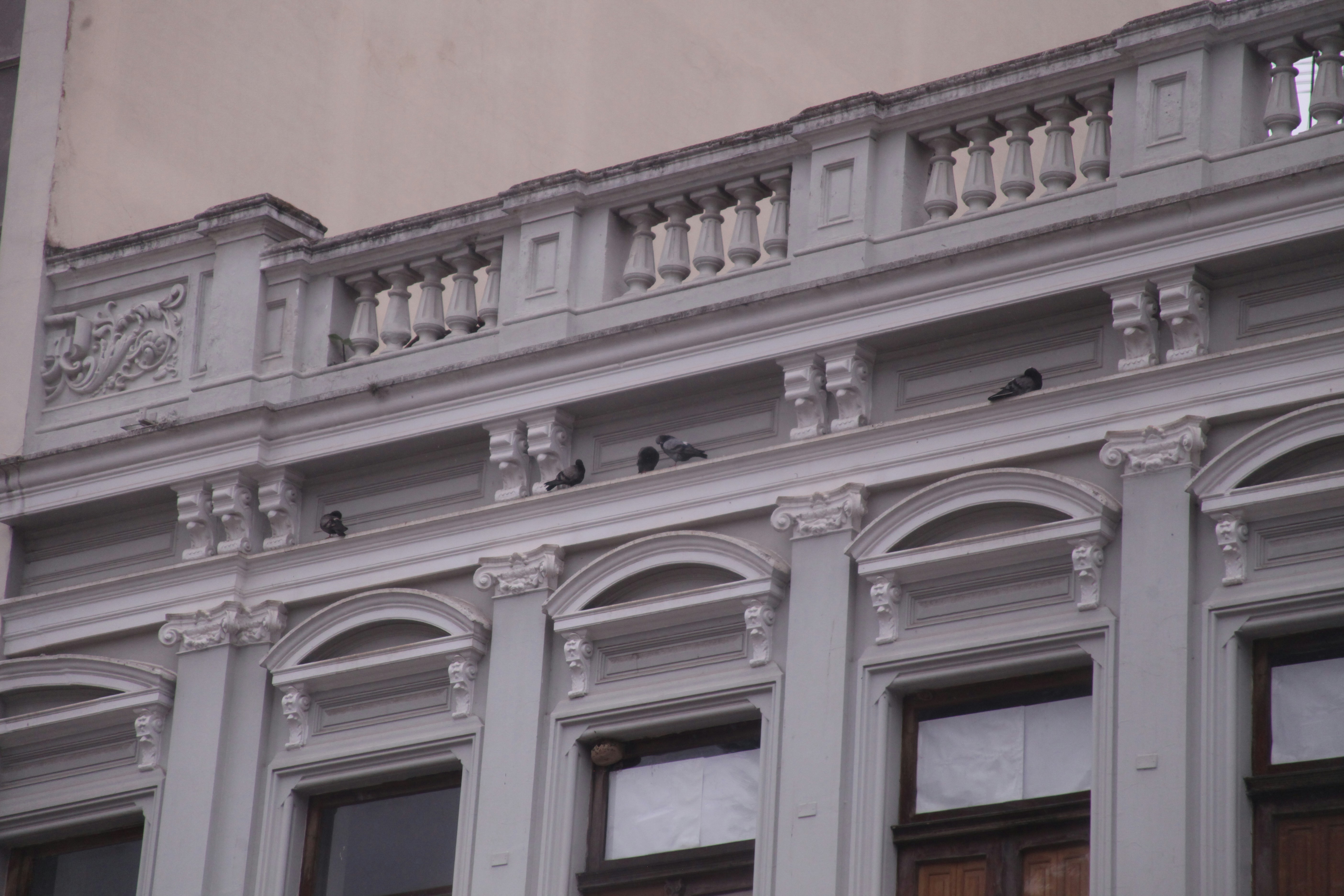 Palomas posadas en la cornisa de un edificio