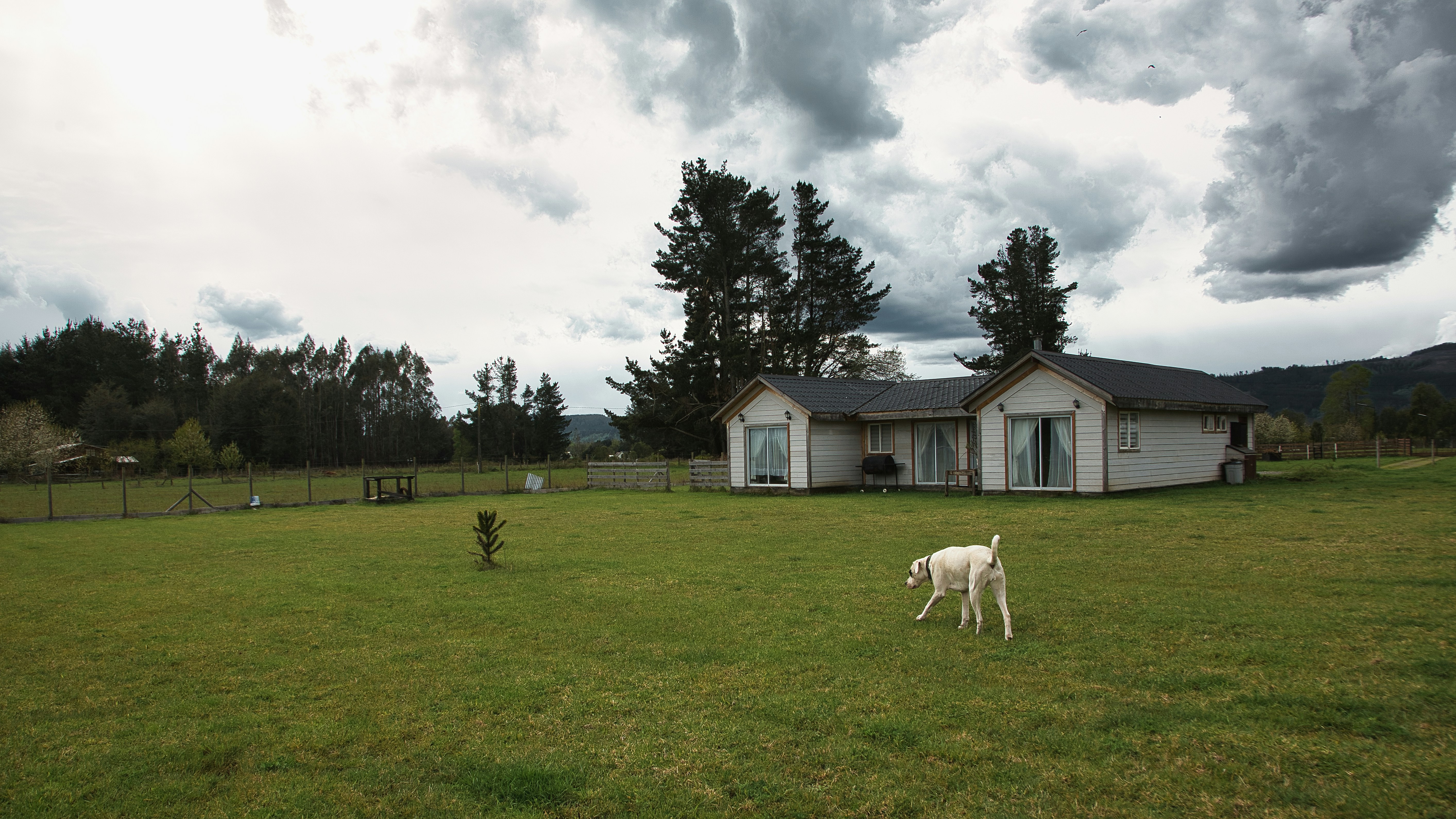 Ingrid — Saint-Germain-en-Laye