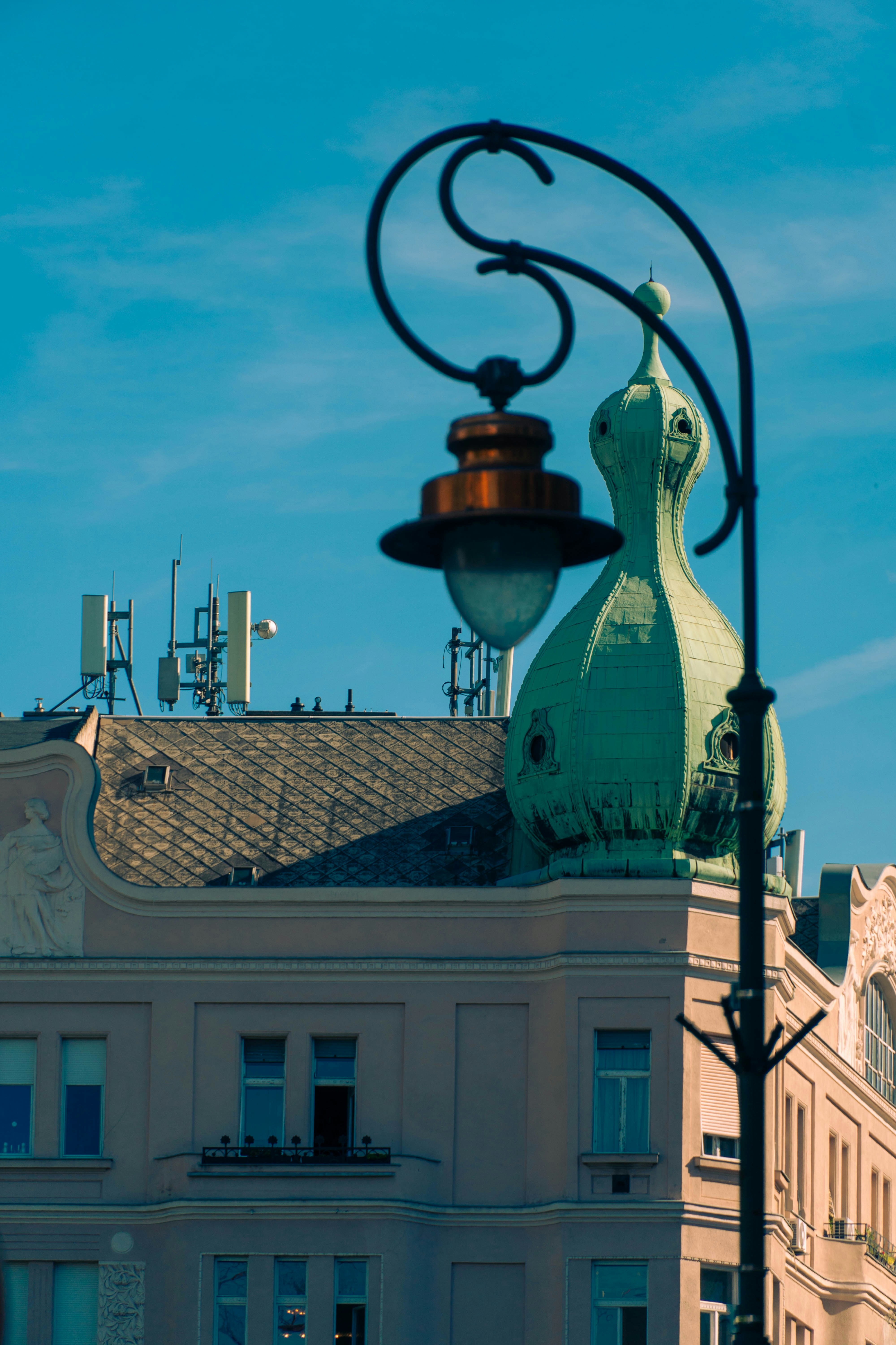 A green dome on a building roof behind a black metal street lamp
