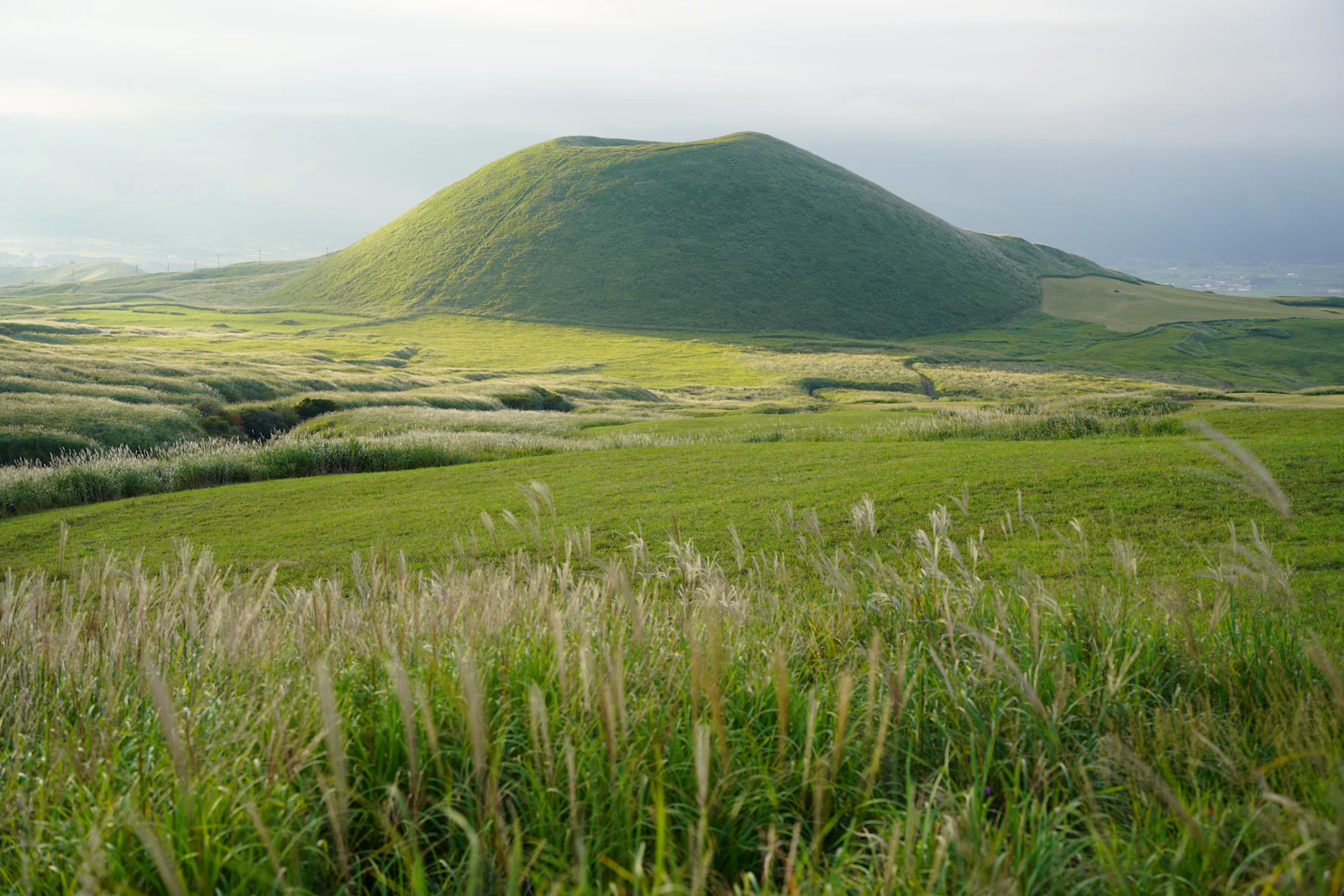 I migliori oreum di Jeju: quali scegliere in base a tempo e fatica