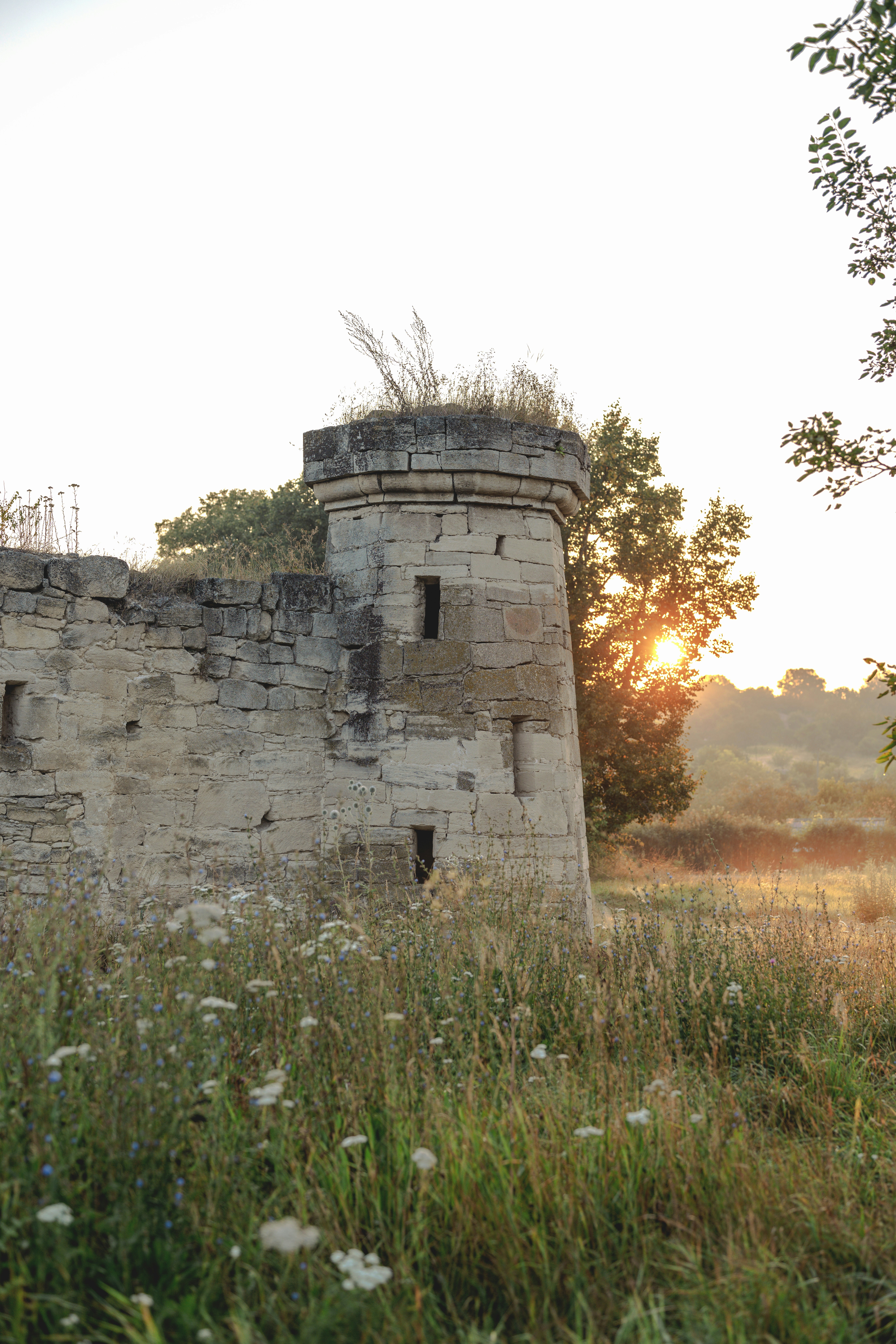 Una torre de piedra en ruinas en un campo de flores silvestres durante la hora dorada