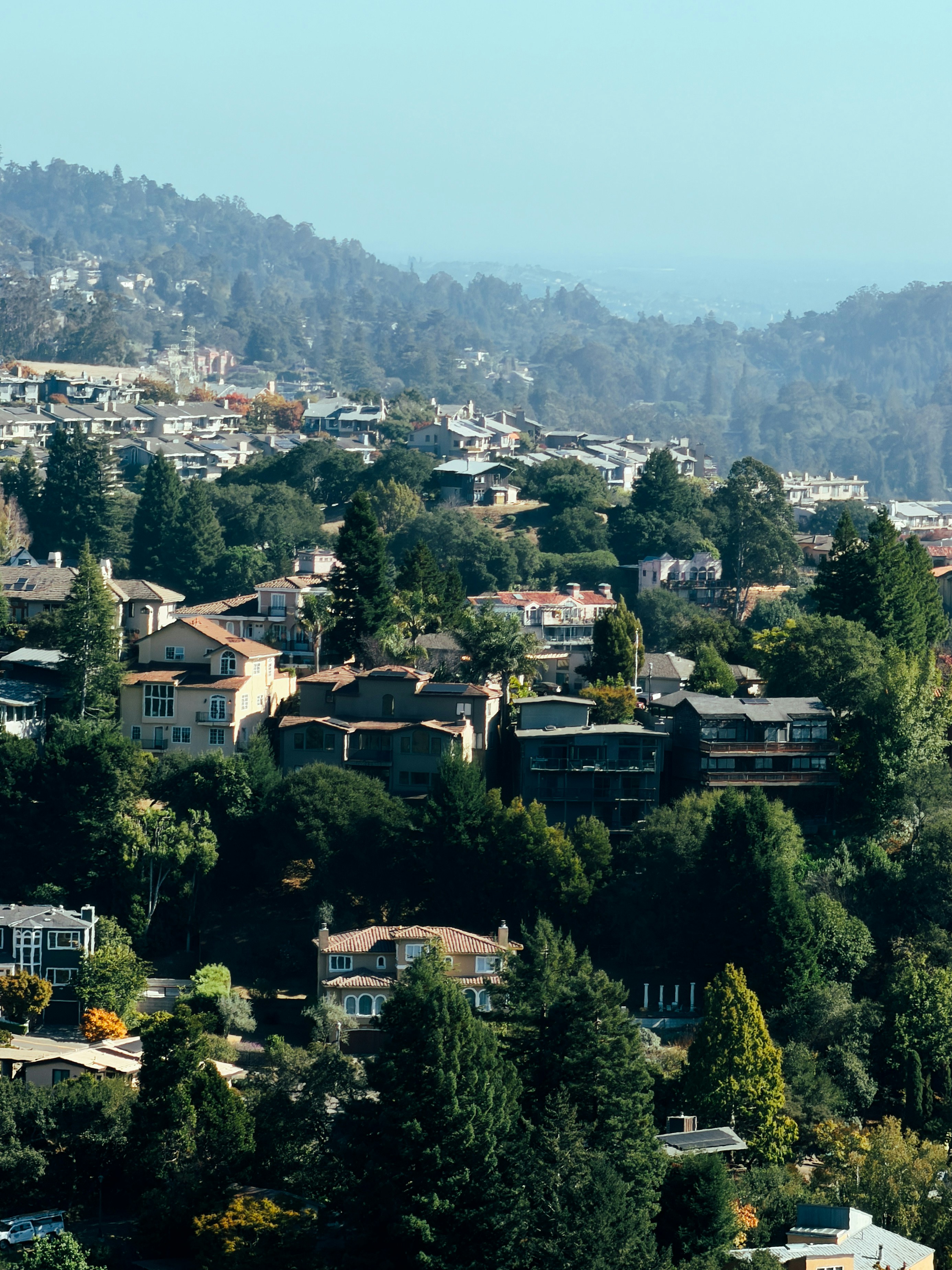 Houses nestled among dense green trees on a hillside under a clear sky