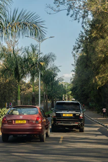 Circulation sur une route tropicale