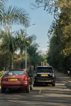 Circulation sur une route tropicale